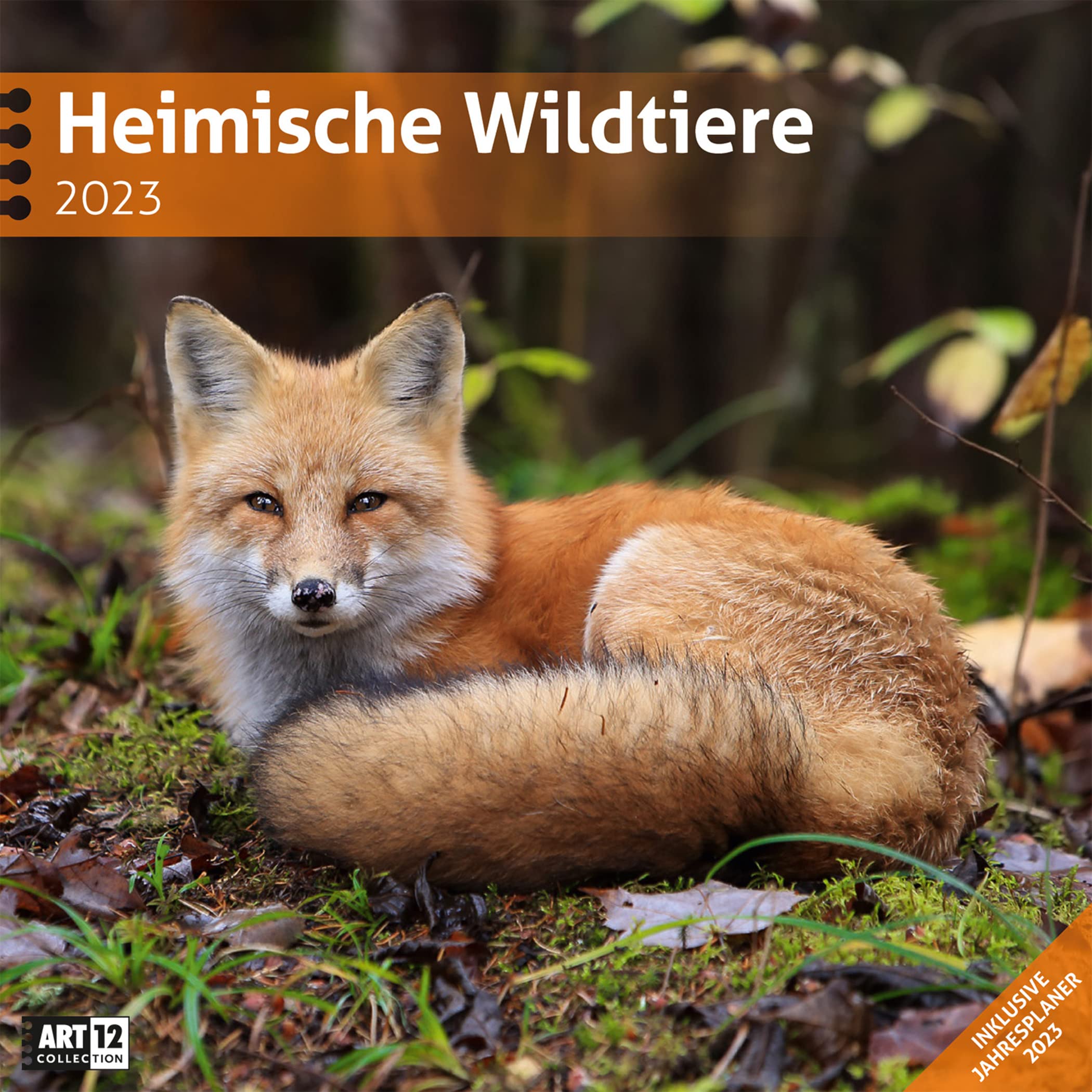 Heimische Wildtiere 2023, Wandkalender / Broschürenkalender im Hochformat (aufgeklappt 30x60 cm) - Kalender mit Monatskalendarium zum Eintragen Leisure, Home & Garden