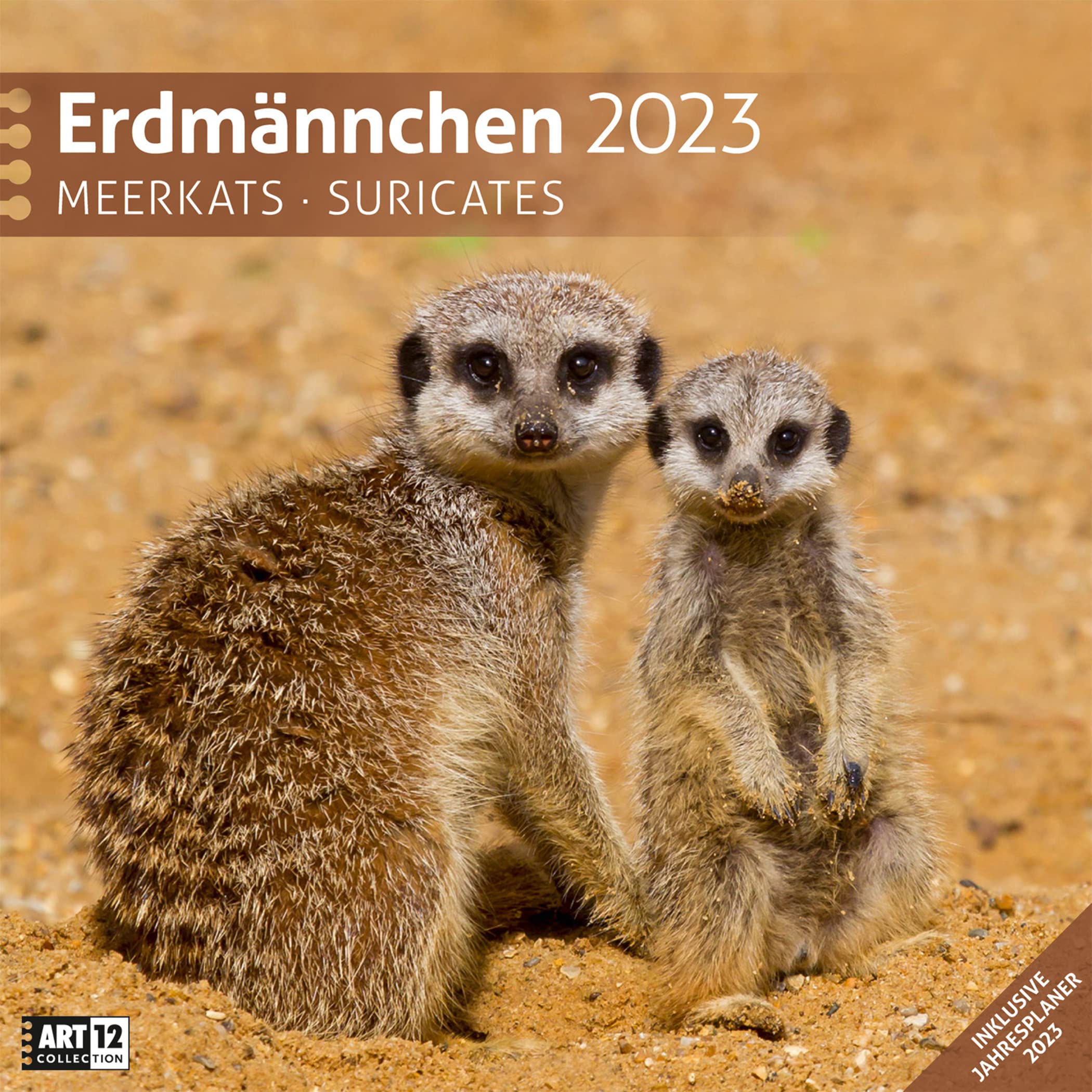 Erdmännchen 2023, Wandkalender / Broschürenkalender im Hochformat (aufgeklappt 30x60 cm) - Geschenk-Kalender mit Monatskalendarium zum Eintragen Leisure, Home & Garden