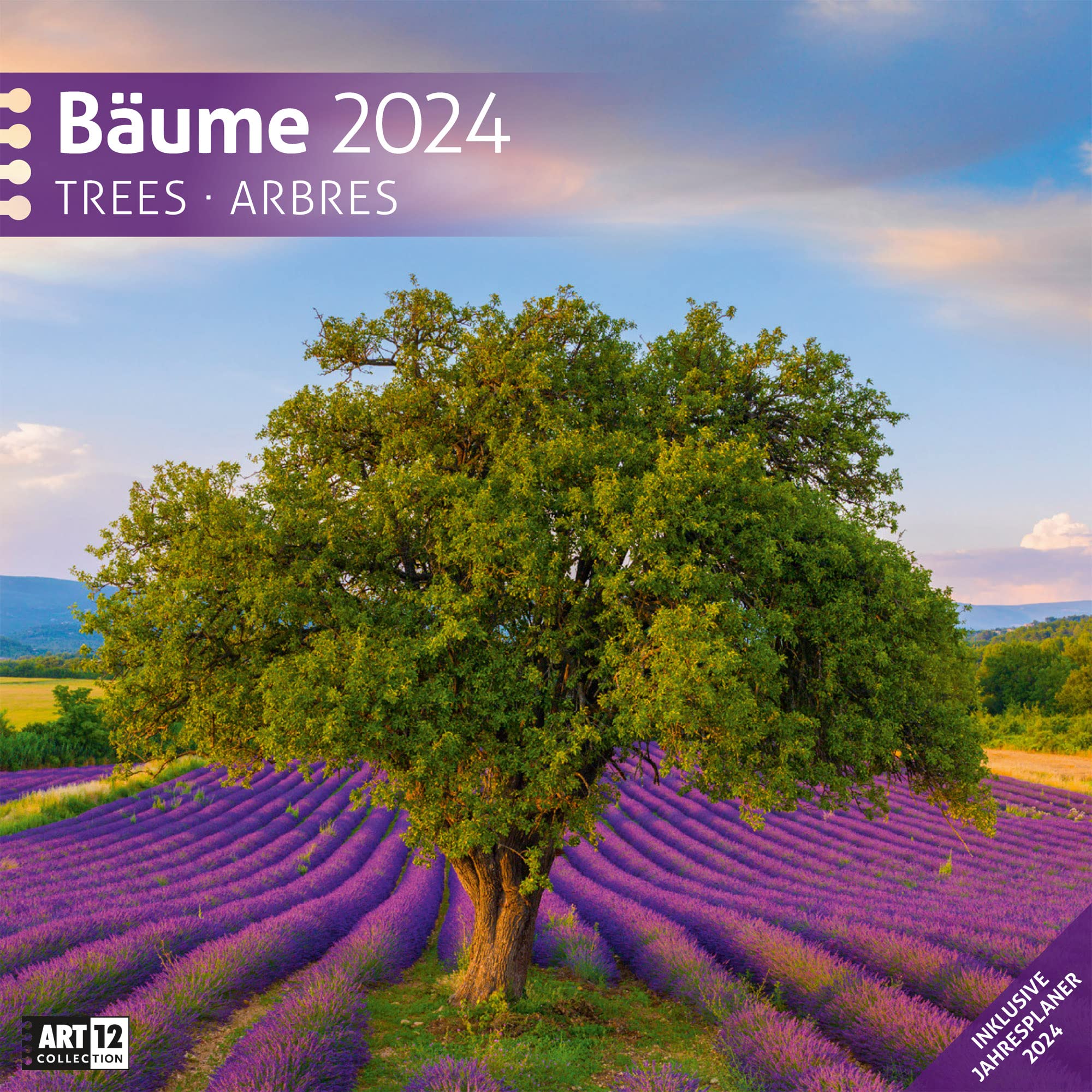 Bäume 2024, Wandkalender / Broschürenkalender im Hochformat (aufgeklappt 30x60 cm) - Geschenk-Kalender mit Monatskalendarium zum Eintragen Leisure, Home & Garden