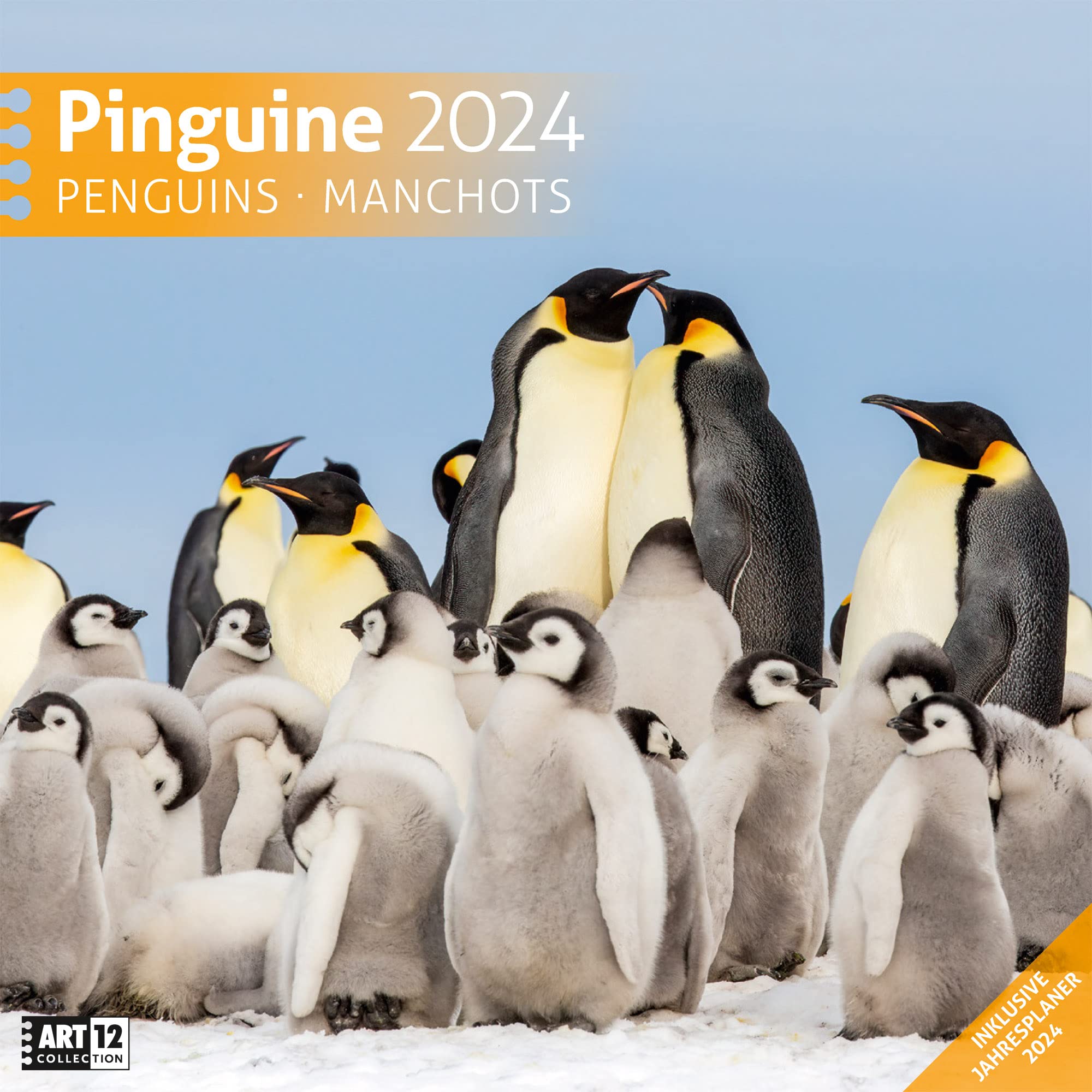 Pinguine 2024, Wandkalender / Broschürenkalender im Hochformat (aufgeklappt 30x60 cm) - Geschenk-Kalender mit Monatskalendarium zum Eintragen book