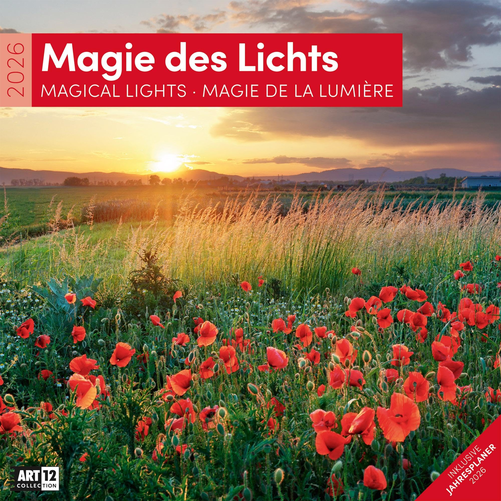 Magie des Lichts Broschürenkalender 2026 - 30x30 - Art12 | Geschmackvoller Landschaftskalender im schlanken Hochformat (aufgeklappt 30x60 cm) | Notiz Leisure, Home & Garden