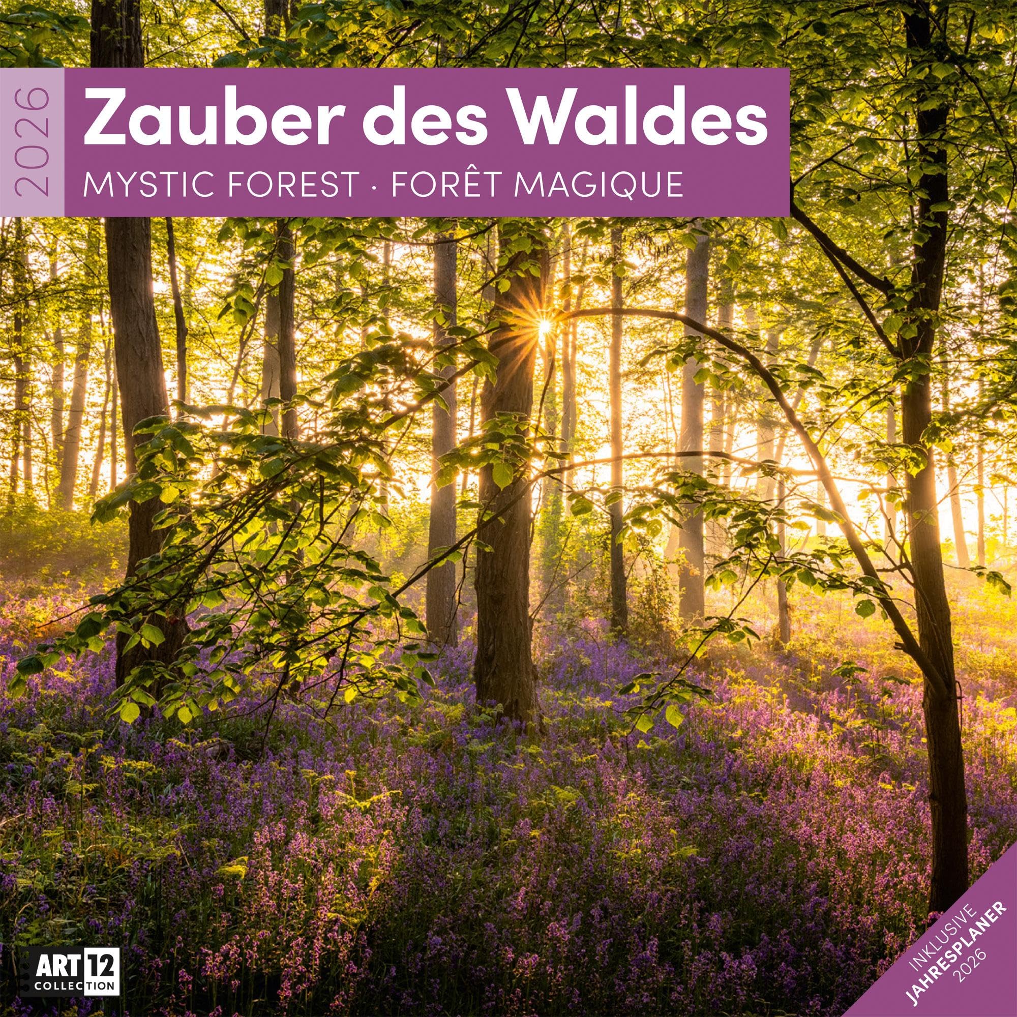 Zauber des Waldes Broschürenkalender 2026 - 30x30 - Art12 | Stilsicherer Wald-Kalender im schlanken Hochformat (aufgeklappt 30x60 cm) | zum Eintragen Leisure, Home & Garden