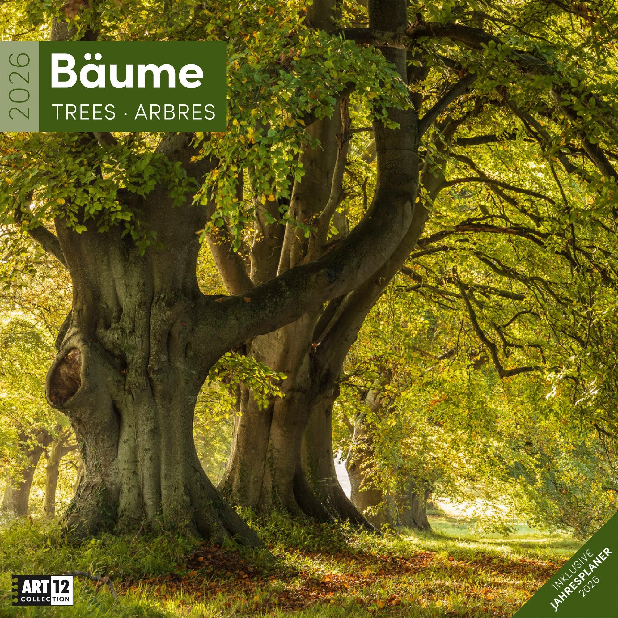 Bäume Broschürenkalender 2026 - 30x30 - Art12 | Stilvoller Natur-Kalender im schlanken Hochformat (aufgeklappt 30x60 cm) | mit Eintrage-Kalendarium Leisure, Home & Garden