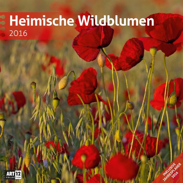Heimische Wildblumen 30 x 30 cm 2016 Leisure, Home & Garden