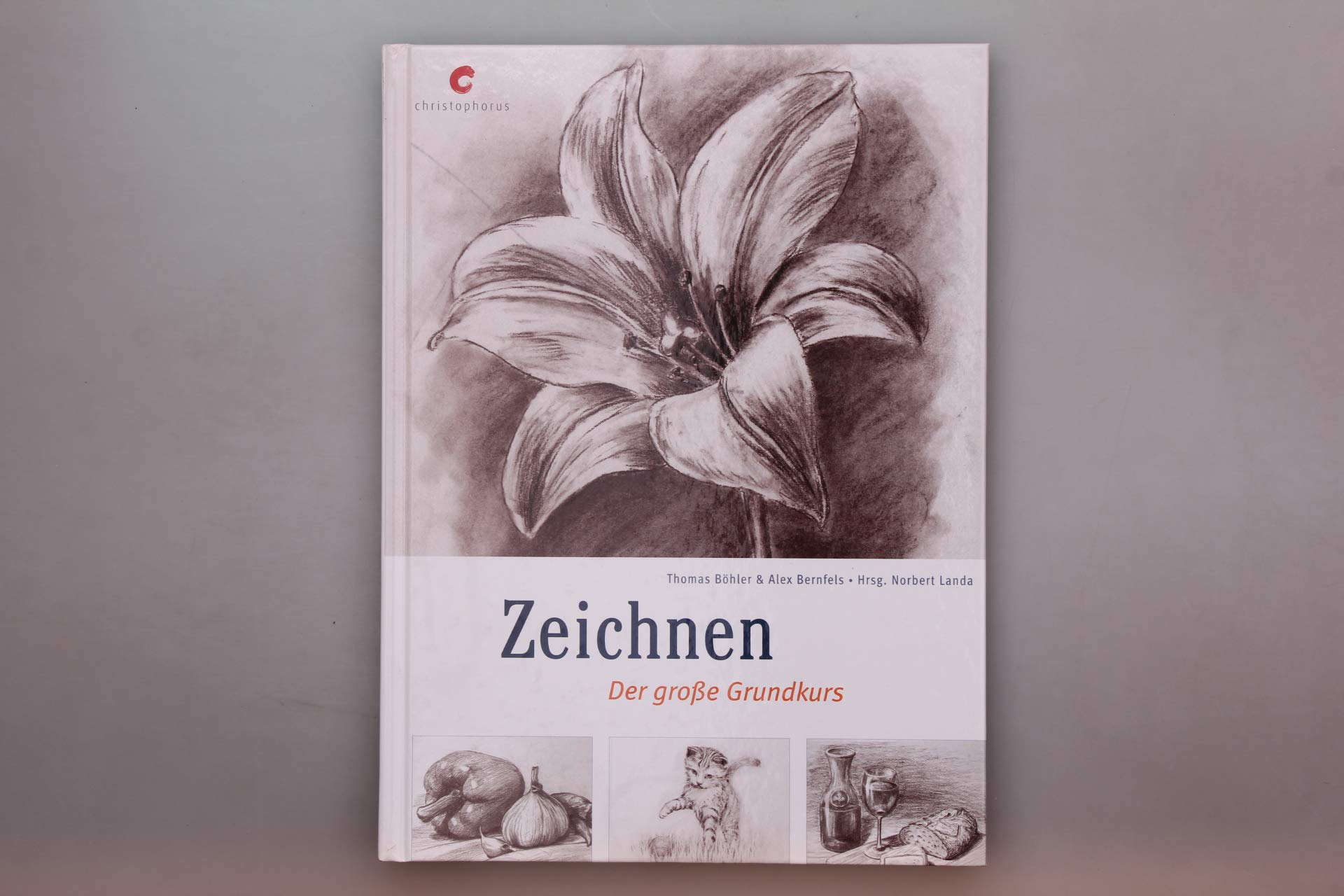 Zeichnen: Der große Grundkurs Film, Art & Culture