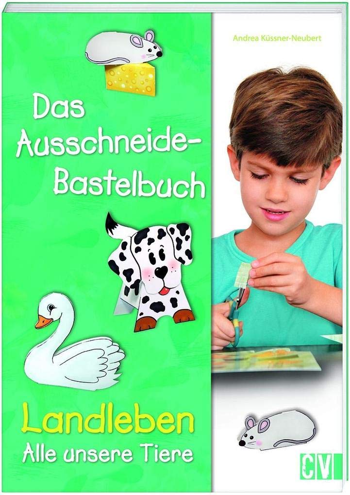 Das Ausschneide-Bastelbuch Hobbies & Crafts Books