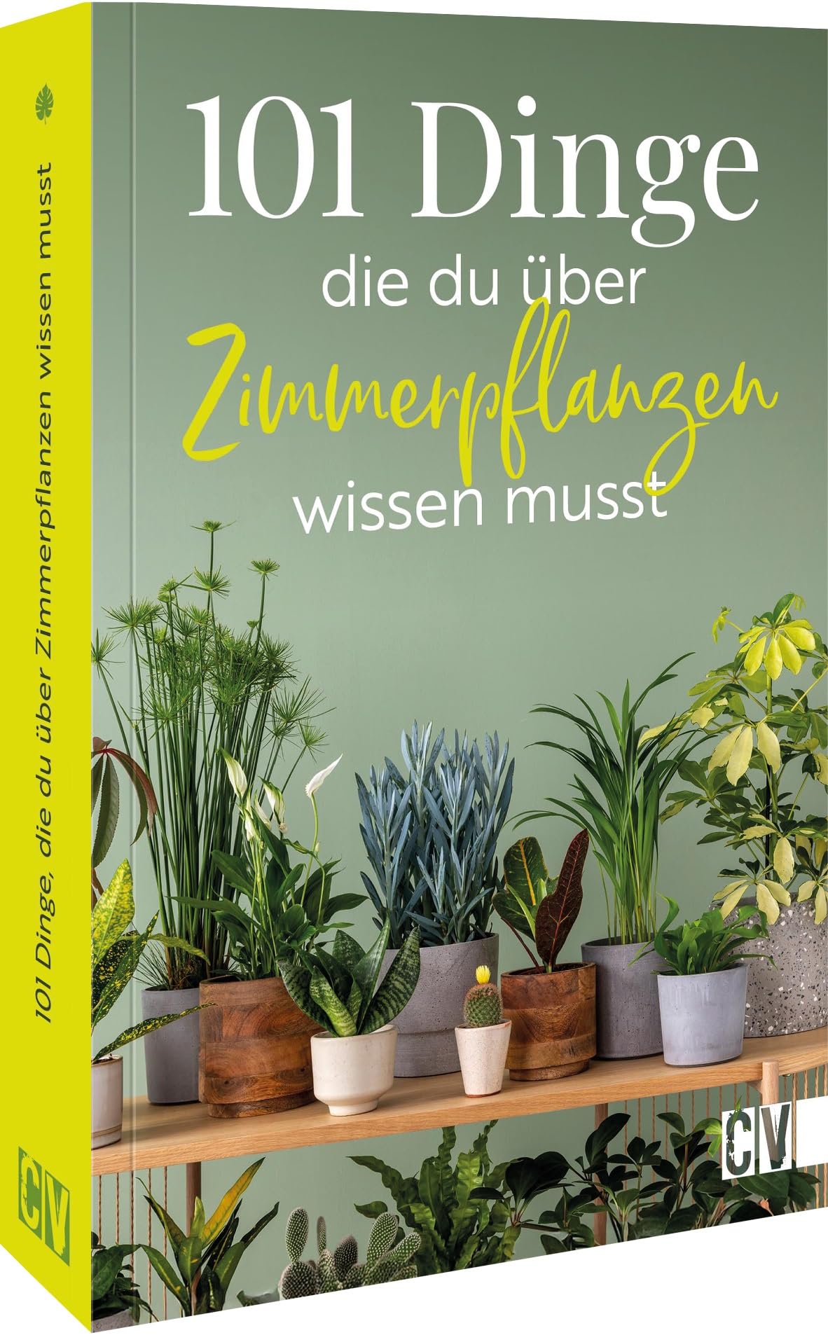 101 Dinge, die Du über Zimmerpflanzen wissen musst Garden & Plants