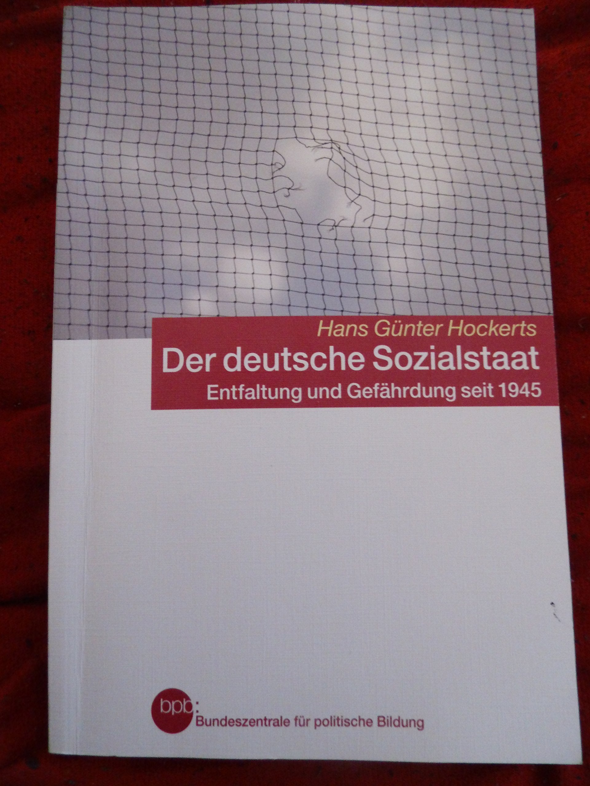 Der deutsche Sozialstaat Entfaltung und Gefährdung seit 1945 Books