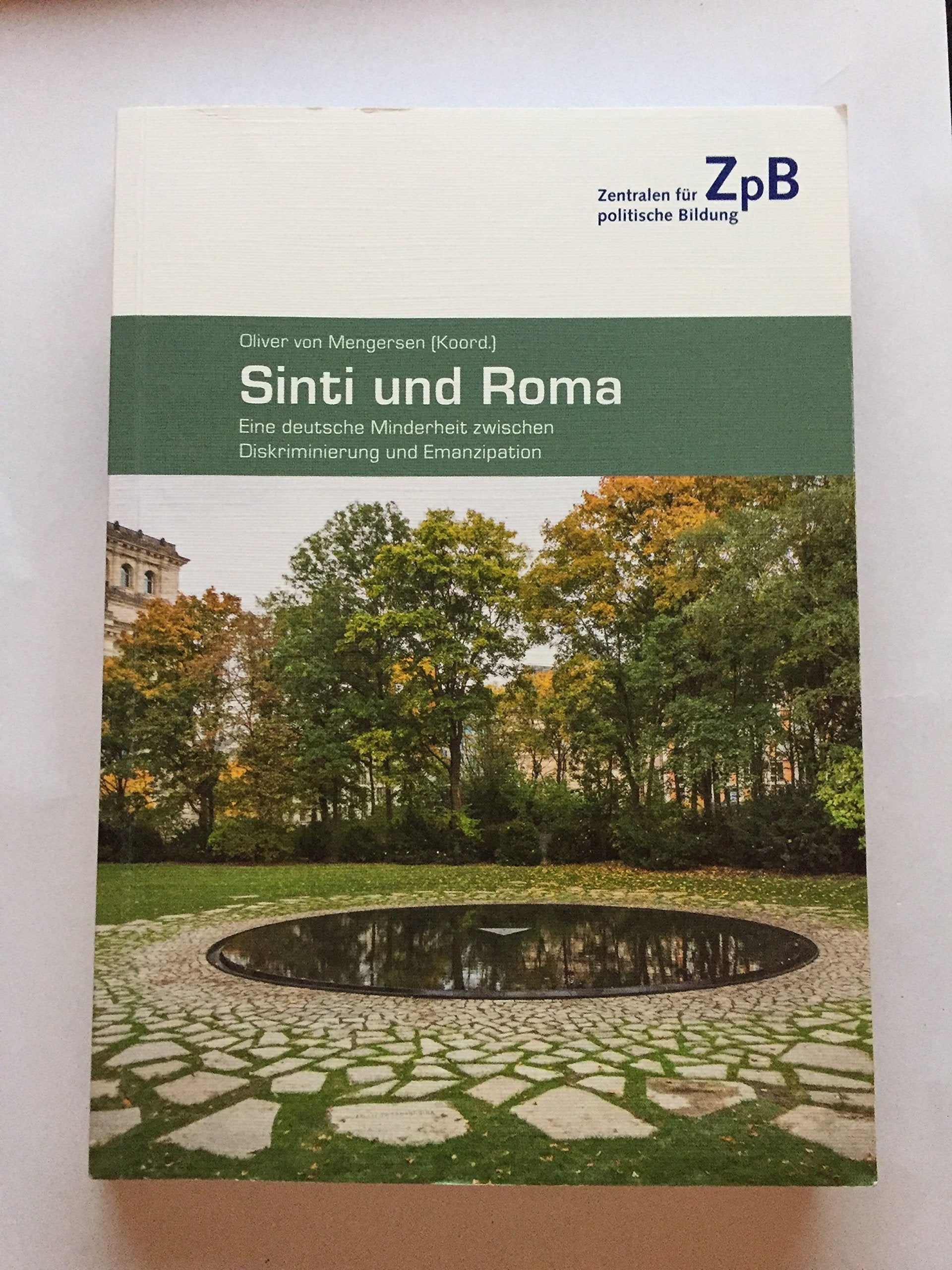 Sinti und Roma. Eine deutsche Minderheit zwischen Diskriminierung und Emanzipation Books