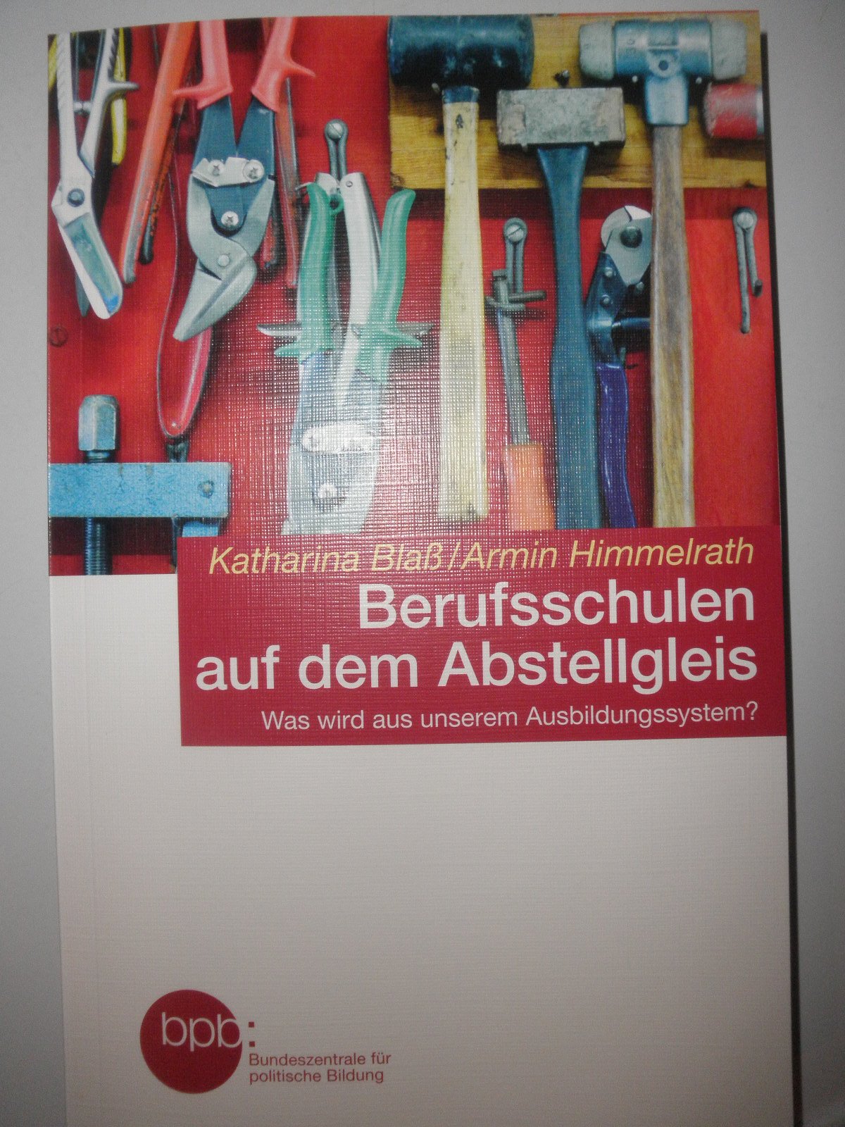 Berufsschulen auf dem Abstellgleis / Was wird aus unserem Ausbildungssystem Books