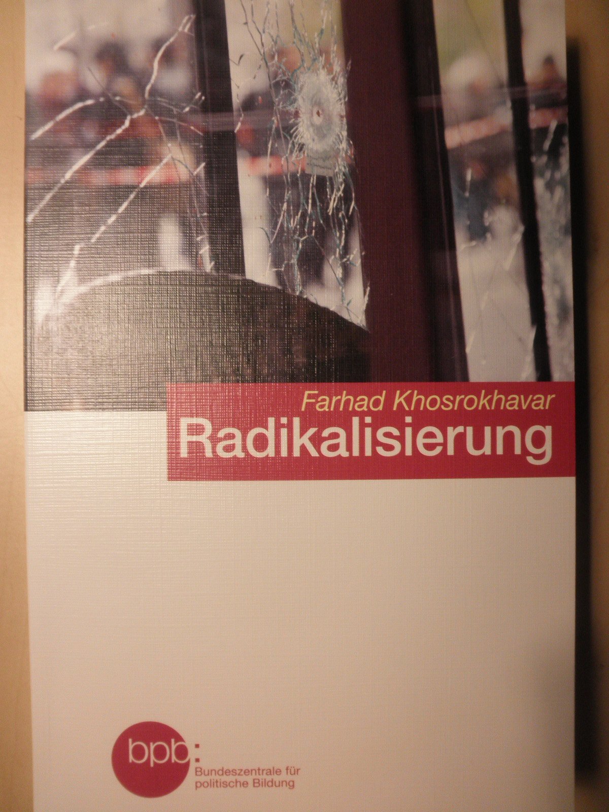 Radikalisierung Politics & History