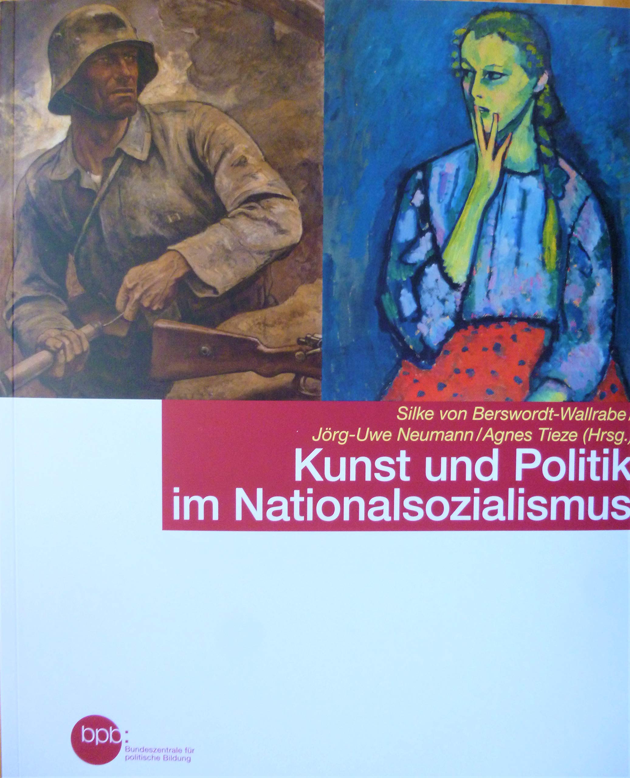 Kunst und Politik im Nationalsozialismus Books