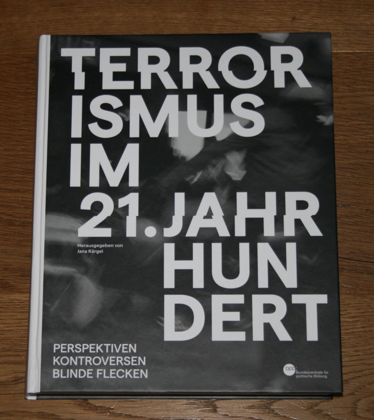 Terrorismus im 21. Jahrhundert. Perspektiven, Kontroversen, blinde Flecken. Books