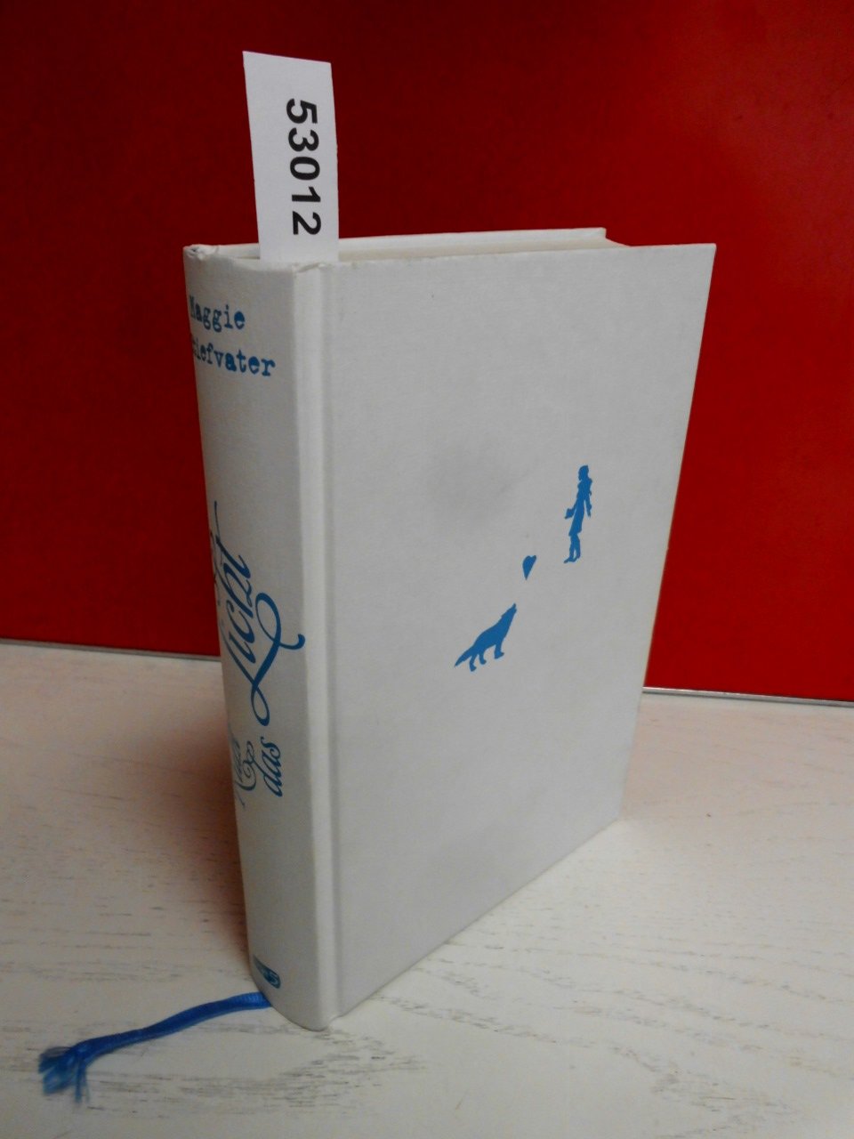 Ruht das Licht Contemporary literature Books