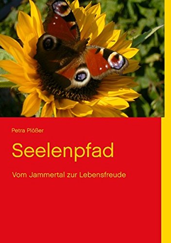 Seelenpfad: Vom Jammertal zur Lebensfreude Religion & Esotericism