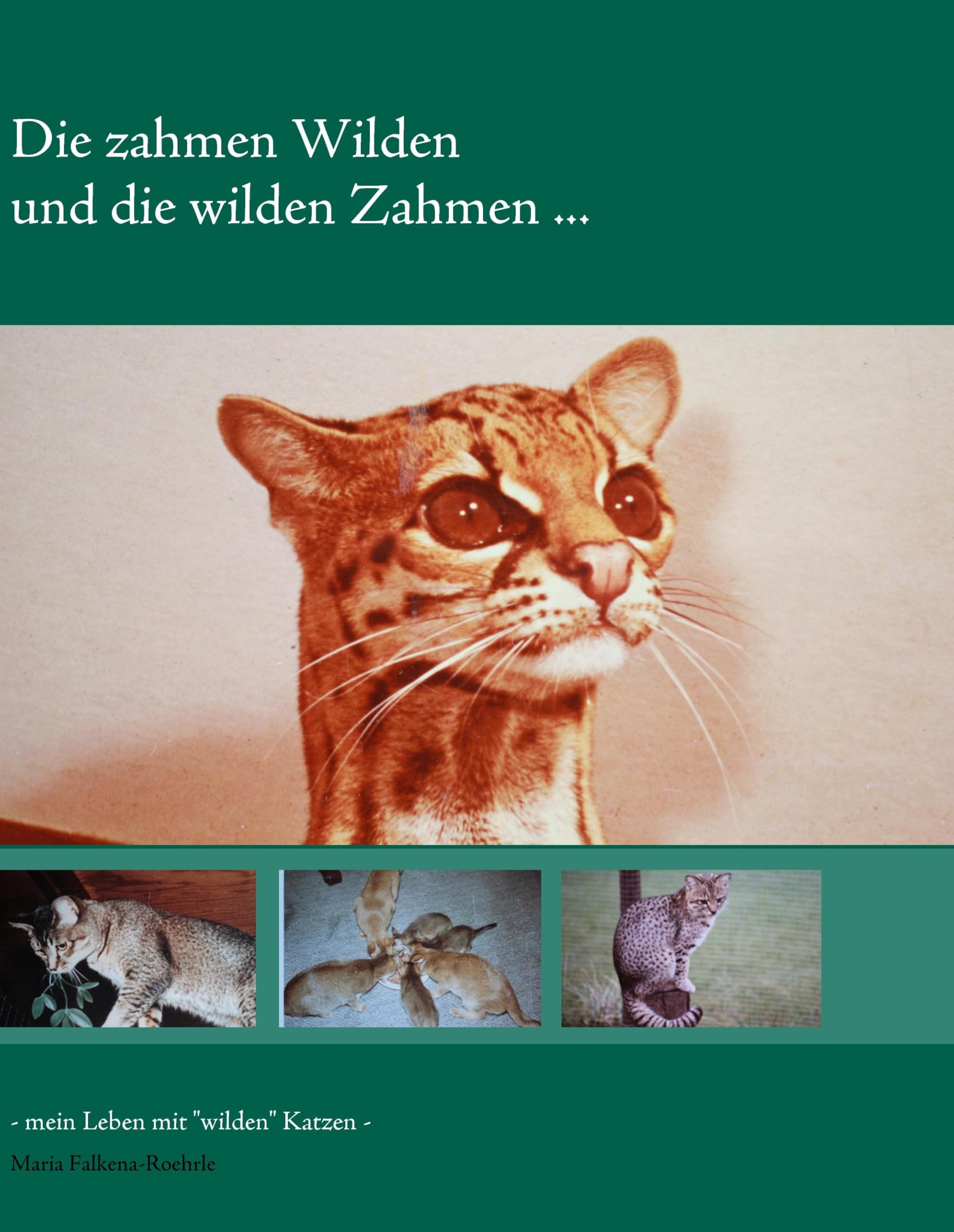 Die zahmen Wilden und die wilden Zahmen ... Memories