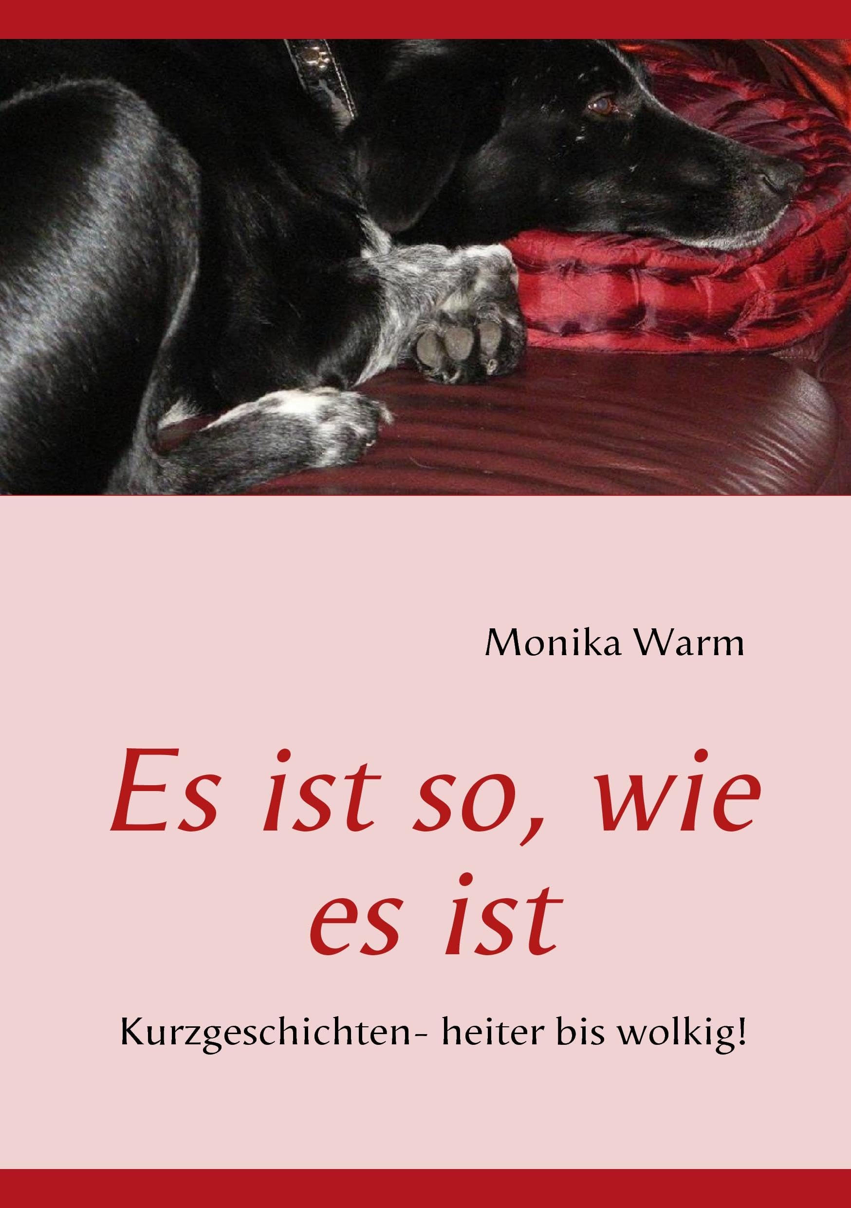 Es ist so, wie es ist: Kurzgeschichten- heiter bis wolkig! Contemporary literature