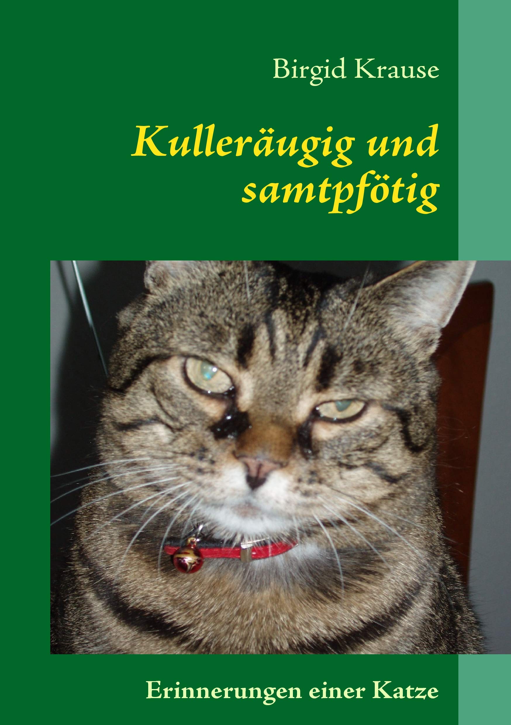 Kulleräugig und samtpfötig Historical Fiction