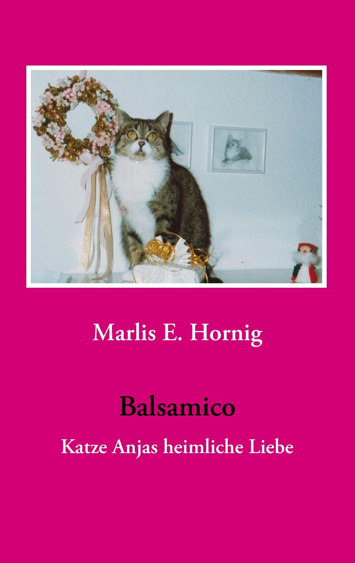 Balsamico: Katze Anjas heimliche Liebe Contemporary literature