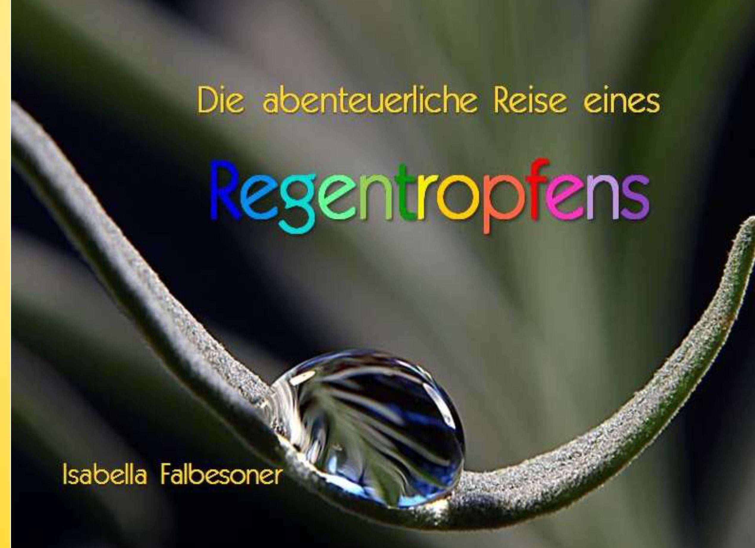 Die abenteuerliche Reise eines Regentropfens Lifestyle