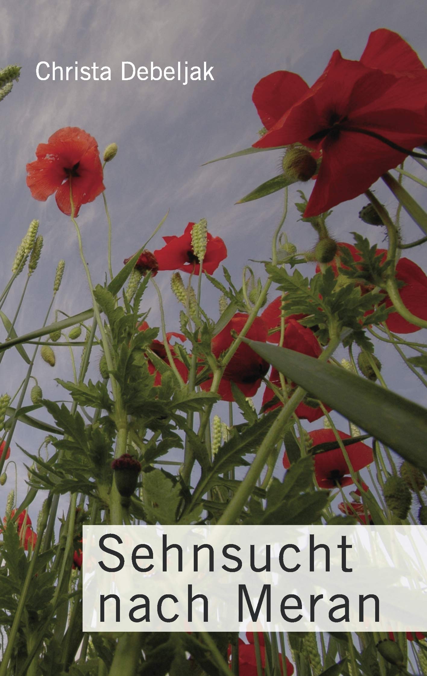 Sehnsucht nach Meran: Für meine Tochter Marion Contemporary literature