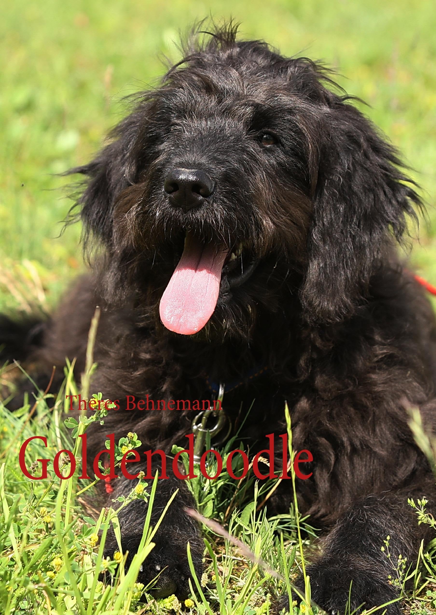 Goldendoodle Books about Pets