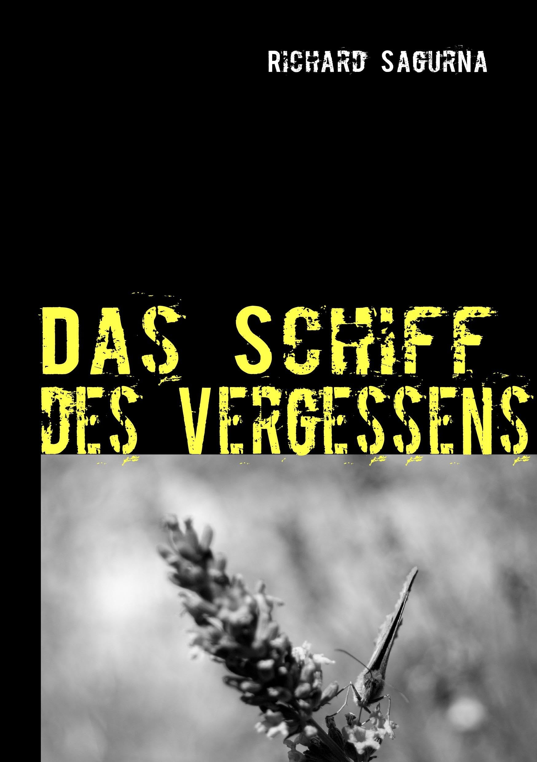 Das Schiff des Vergessens: Ein Roman aus dem Midi Contemporary literature