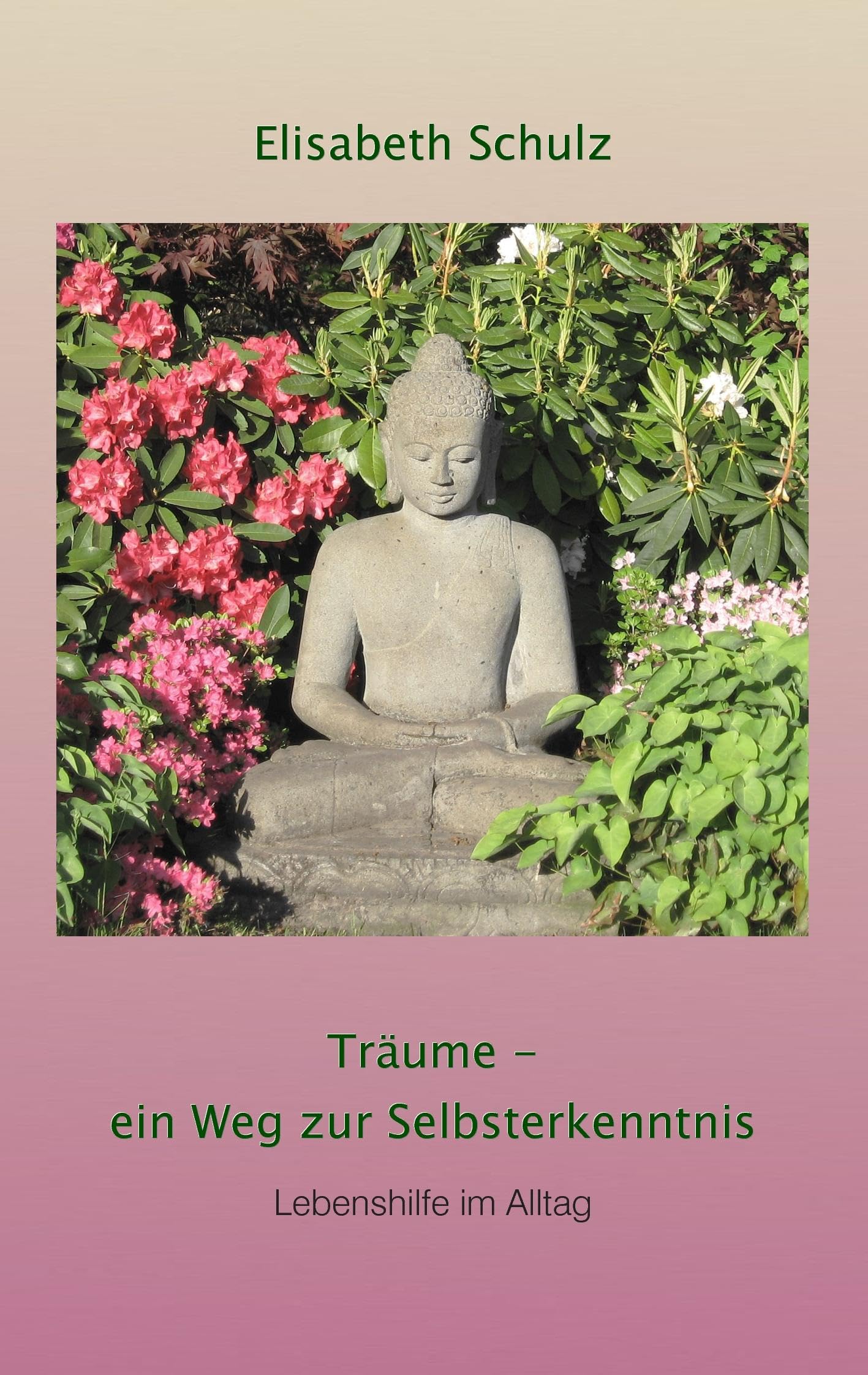 Träume - ein Weg zur Selbsterkenntnis: Lebenshilfe im Alltag Psychology