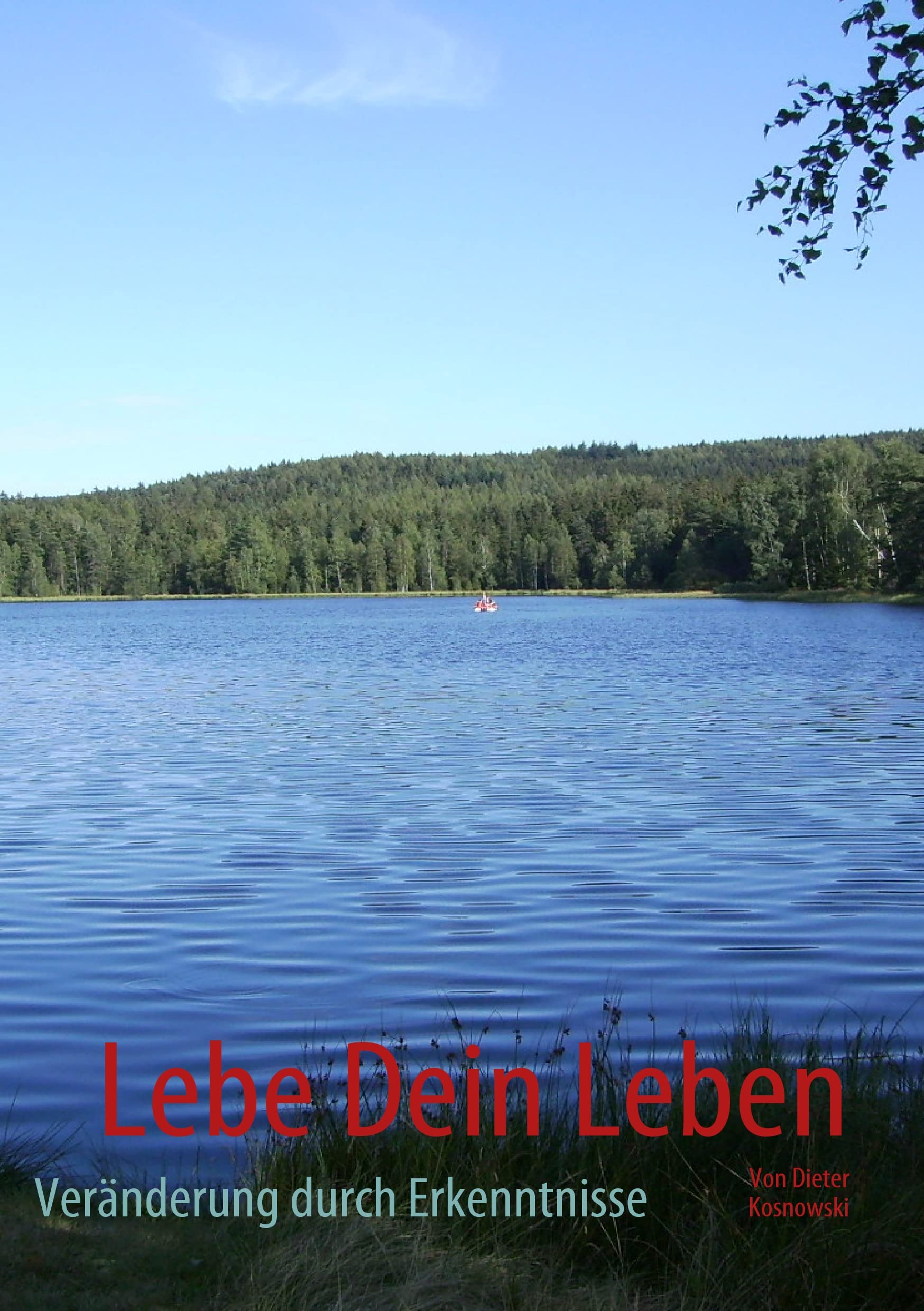Lebe Dein Leben: Veränderung durch Erkenntnisse Business, Finance & Career