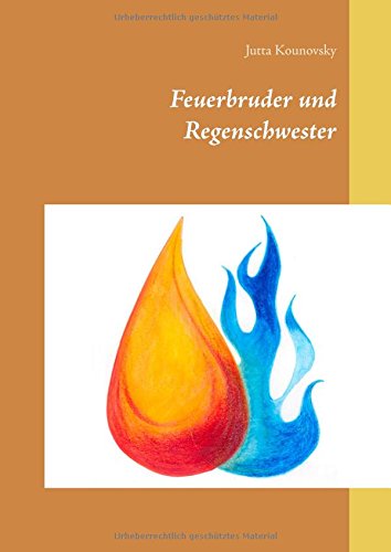 Feuerbruder und Regenschwester Contemporary literature Books
