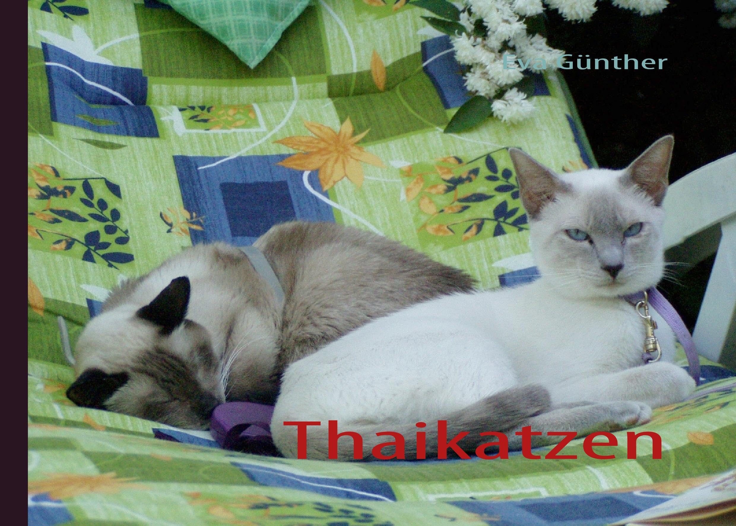 Thaikatzen Media & Communication