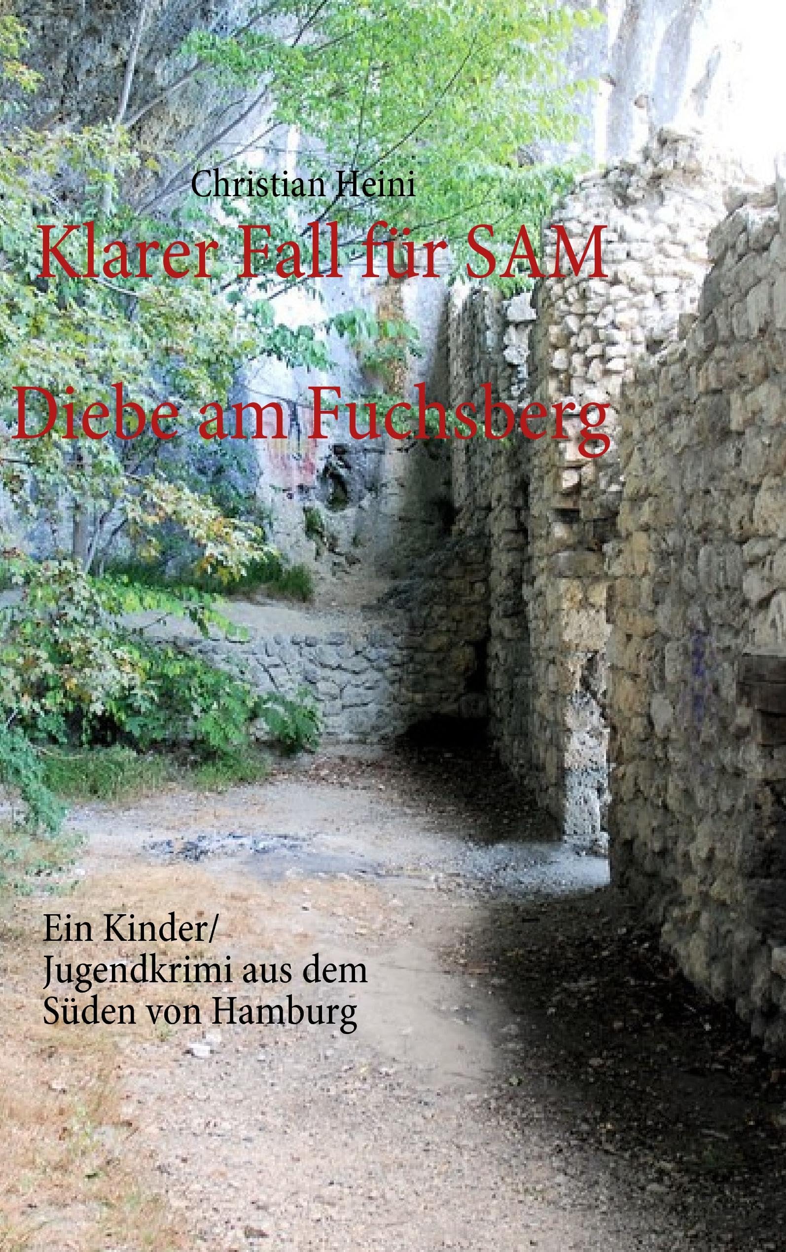 Klarer Fall für SAM: Diebe am Fuchsberg Fantasy & Sci-Fi