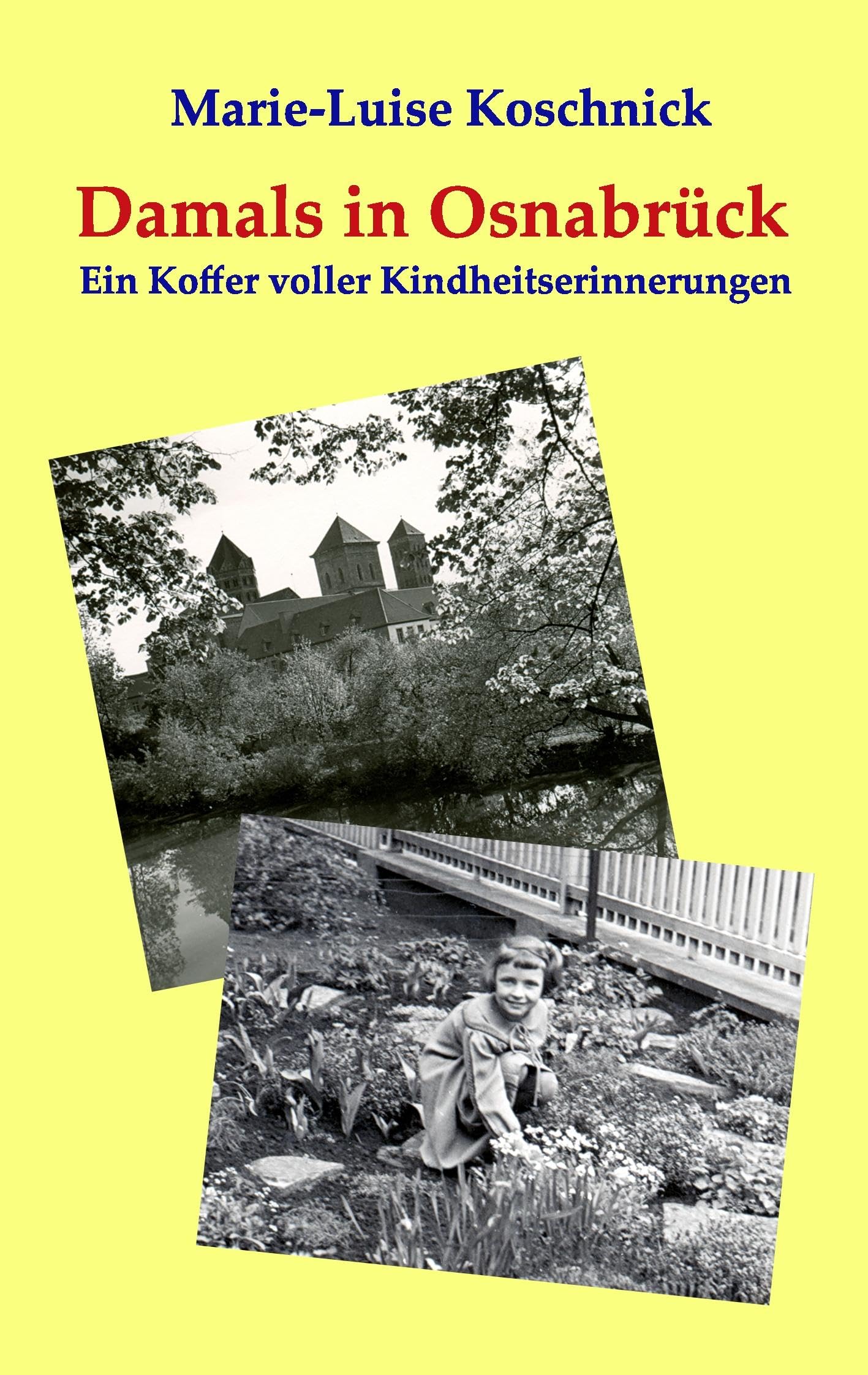 Damals in Osnabrück book