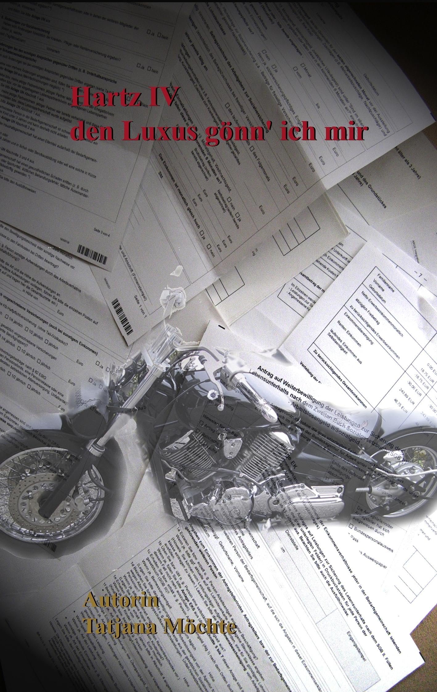 Hartz-IV den Luxus gönn' ich mir Contemporary literature