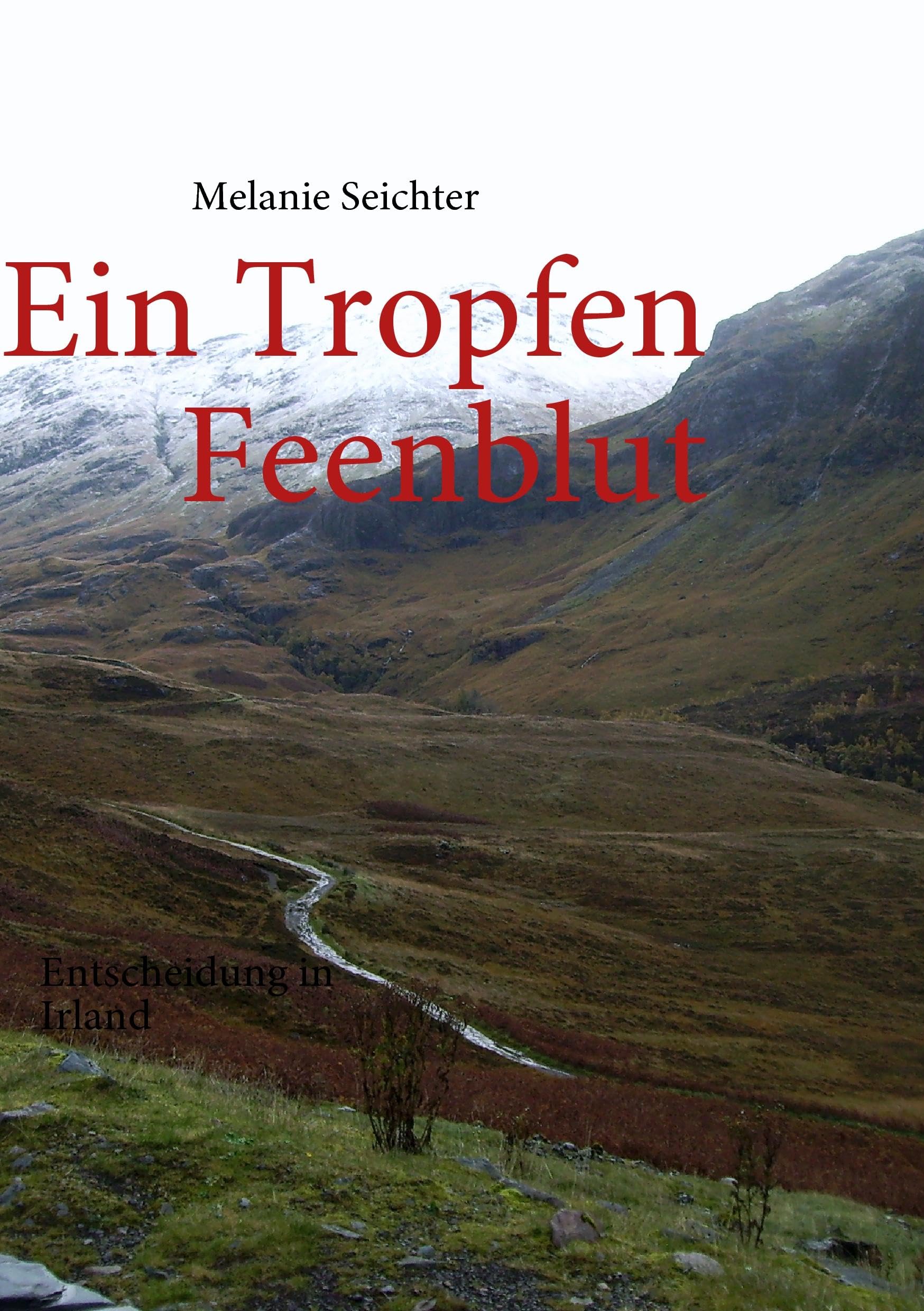 Ein Tropfen Feenblut: Entscheidung in Irland Historical Fiction