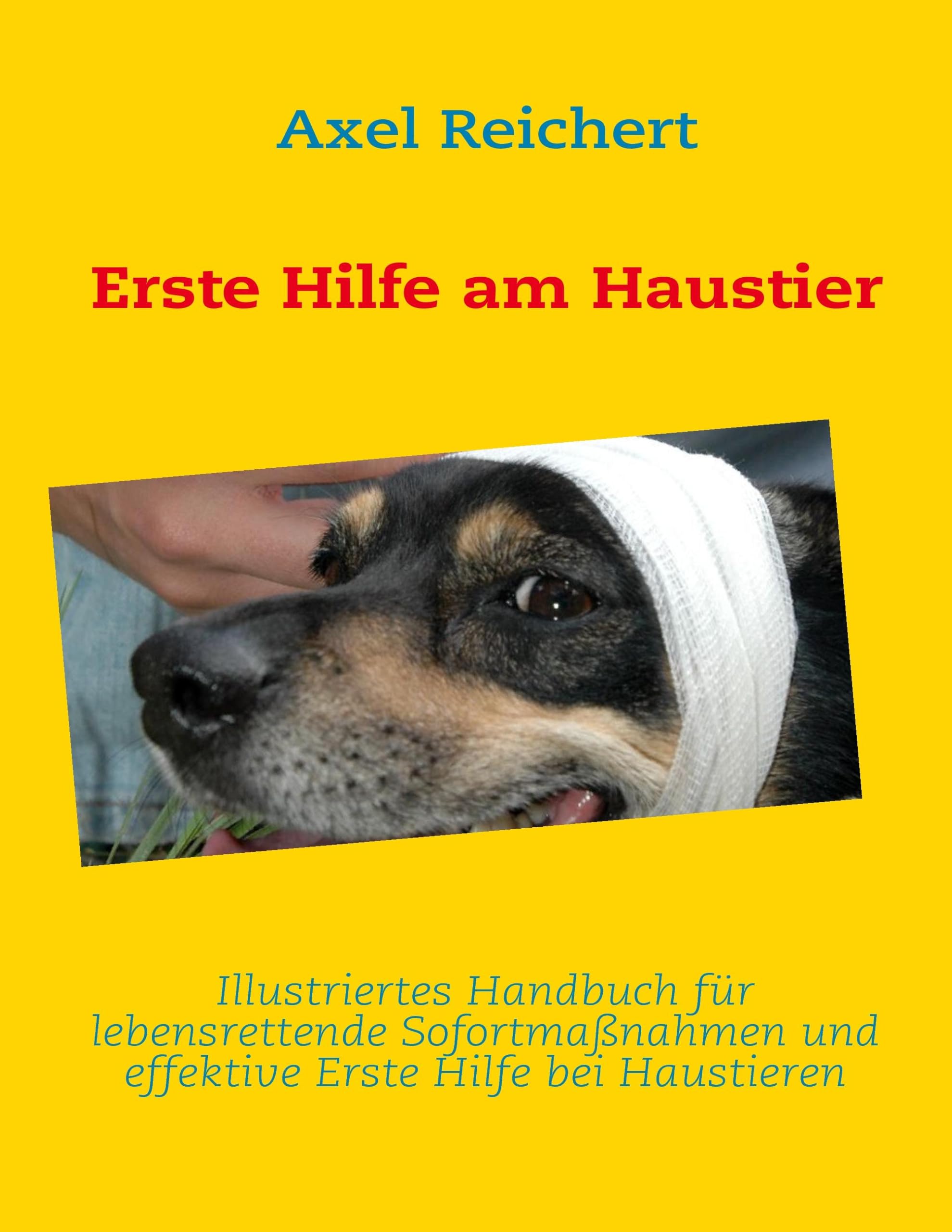 Erste Hilfe am Haustier Pets