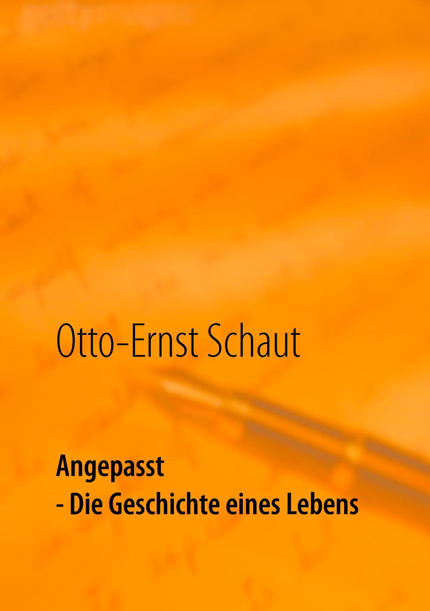 Angepasst: Die Geschichte eines Lebens - Erstes Buch Politics & Society