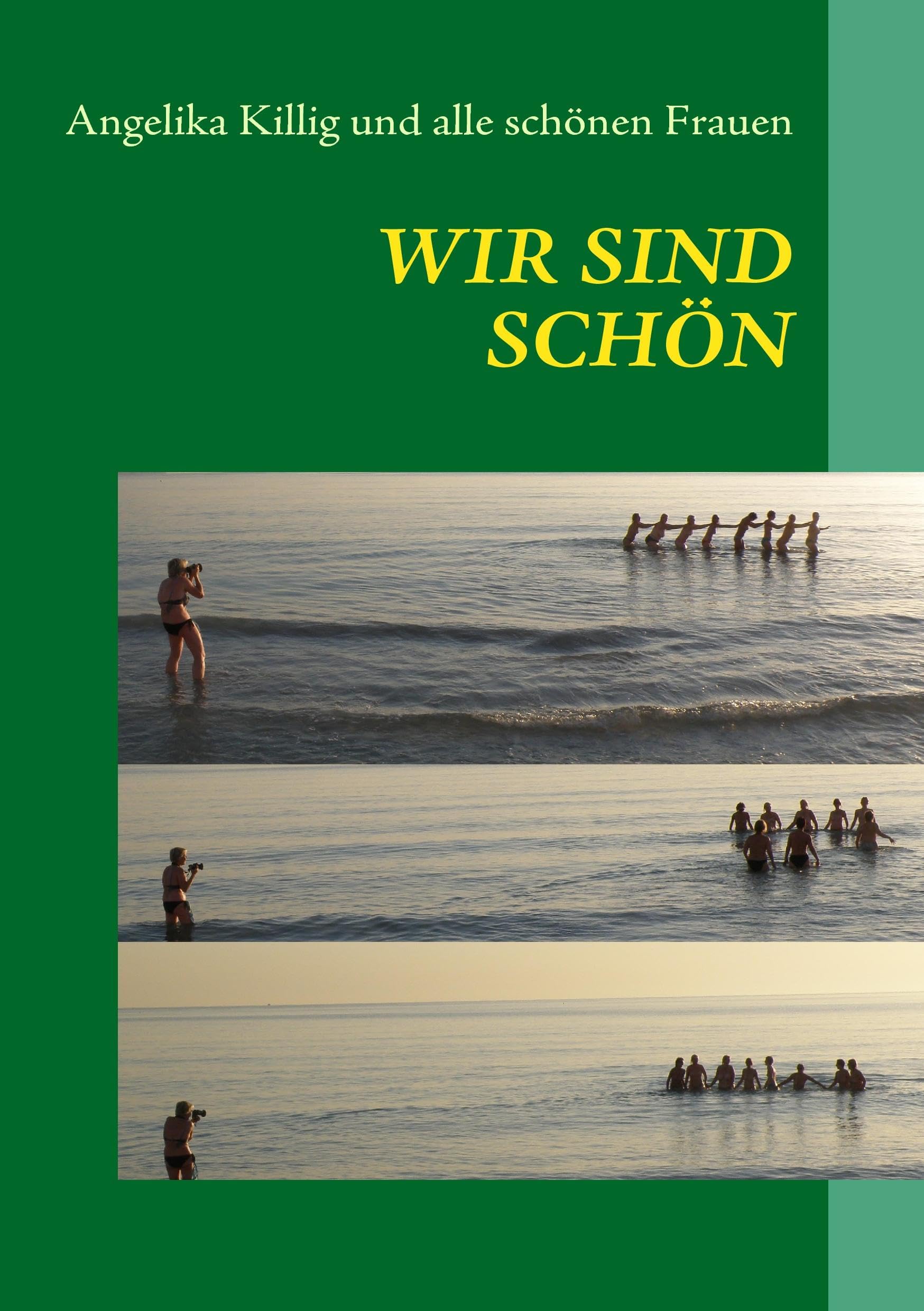 Wir sind schön: nicht nur die anderen Contemporary literature