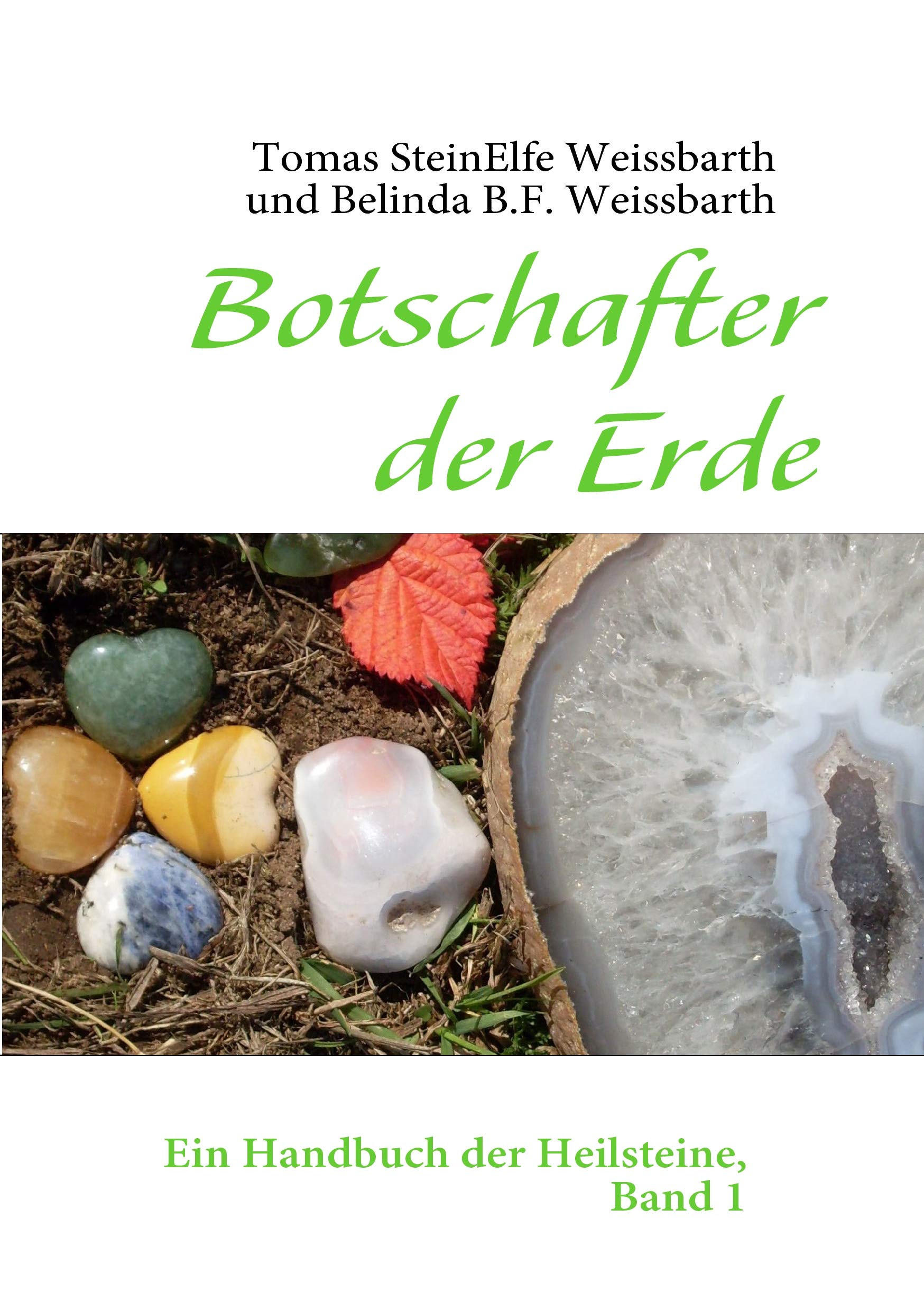 Botschafter der Erde: Ein Handbuch der Heilsteine, Band 1 Business, Finance & Career