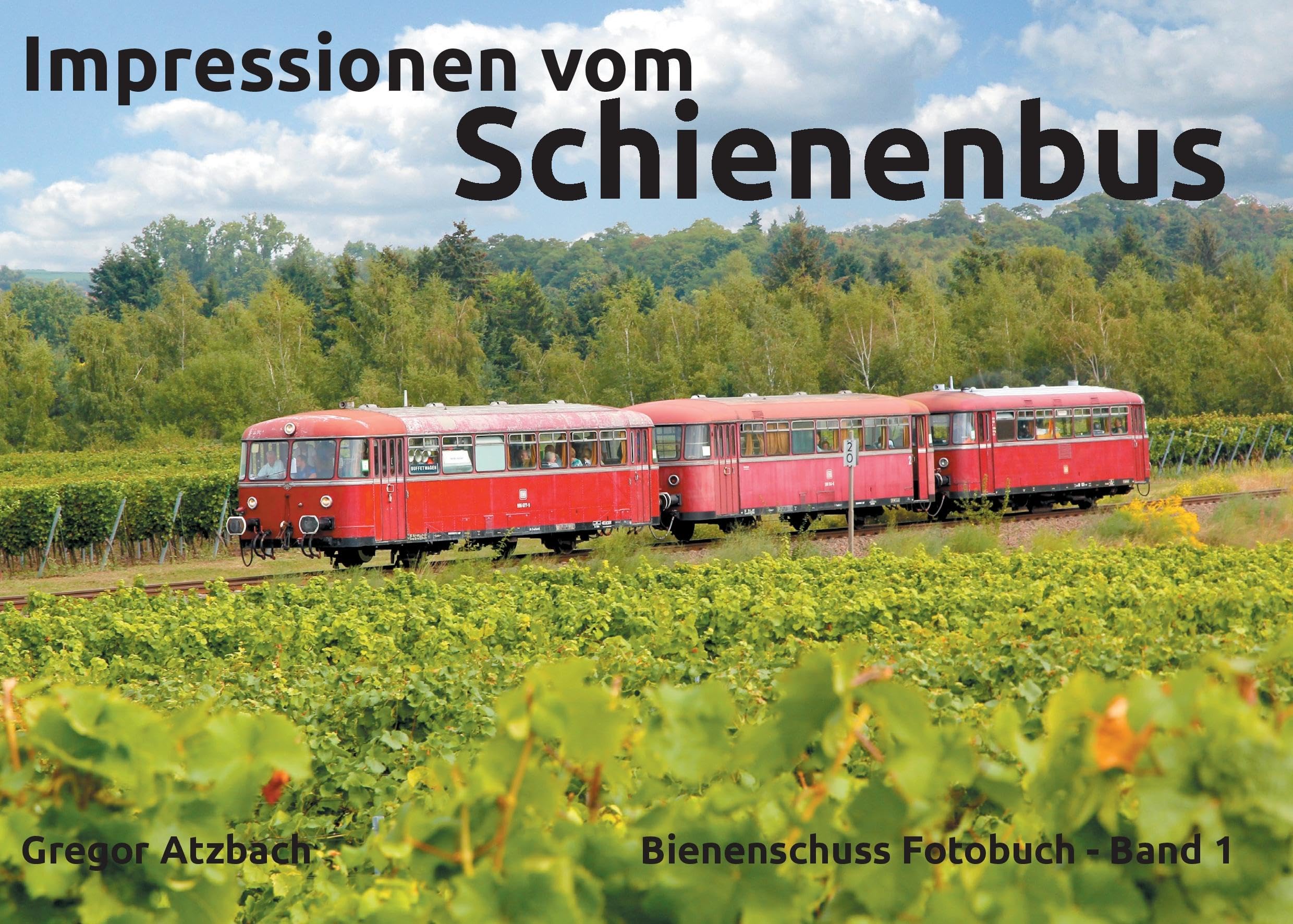 Impressionen vom Schienenbus: Bienenschuss Fotobuch - Band 1 Travel