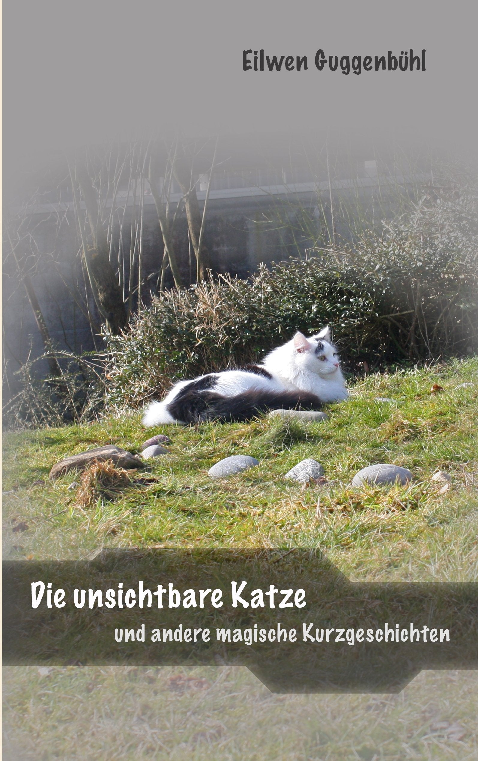 Product Image: Die unsichtbare Katze