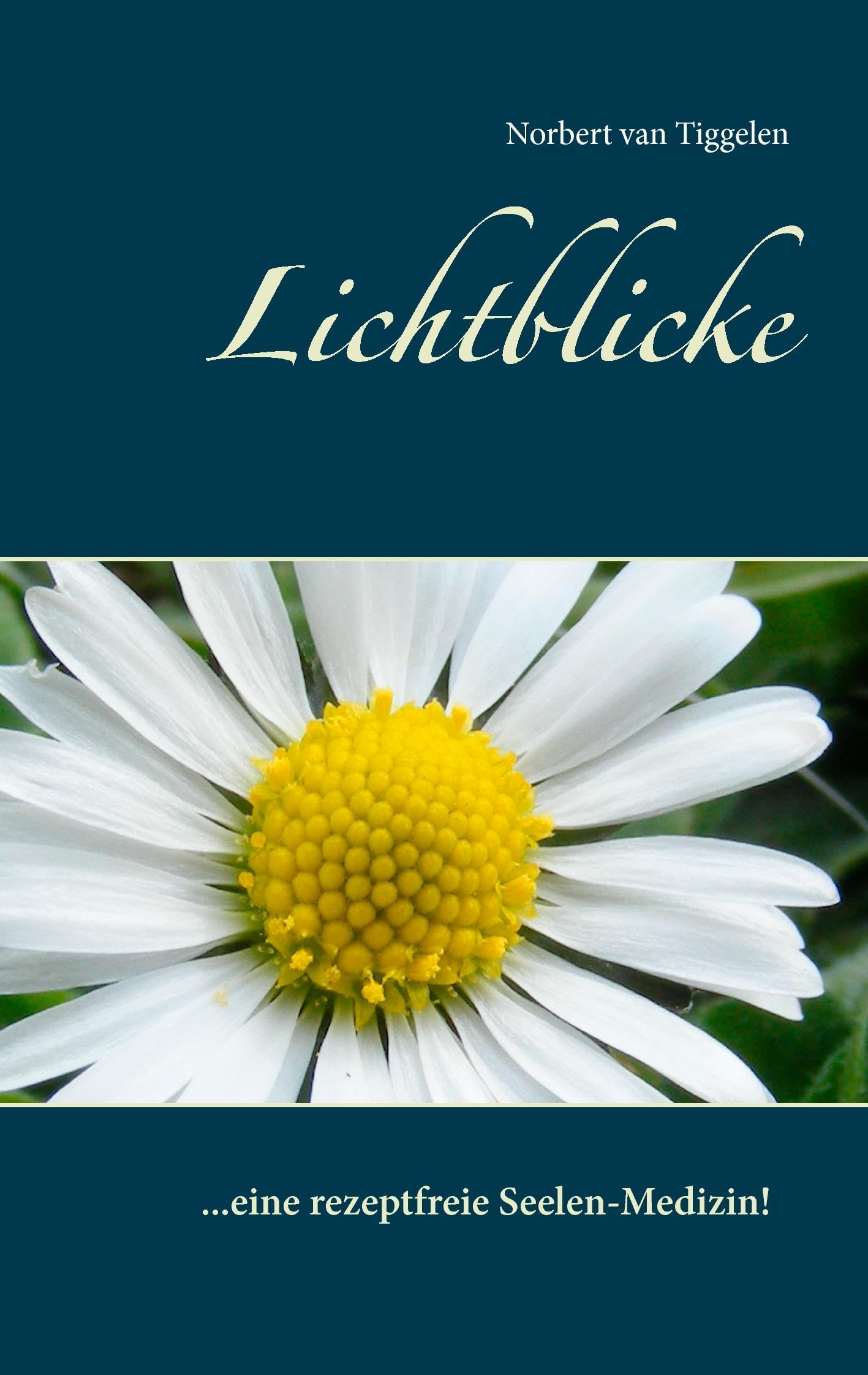 Lichtblicke Poetry