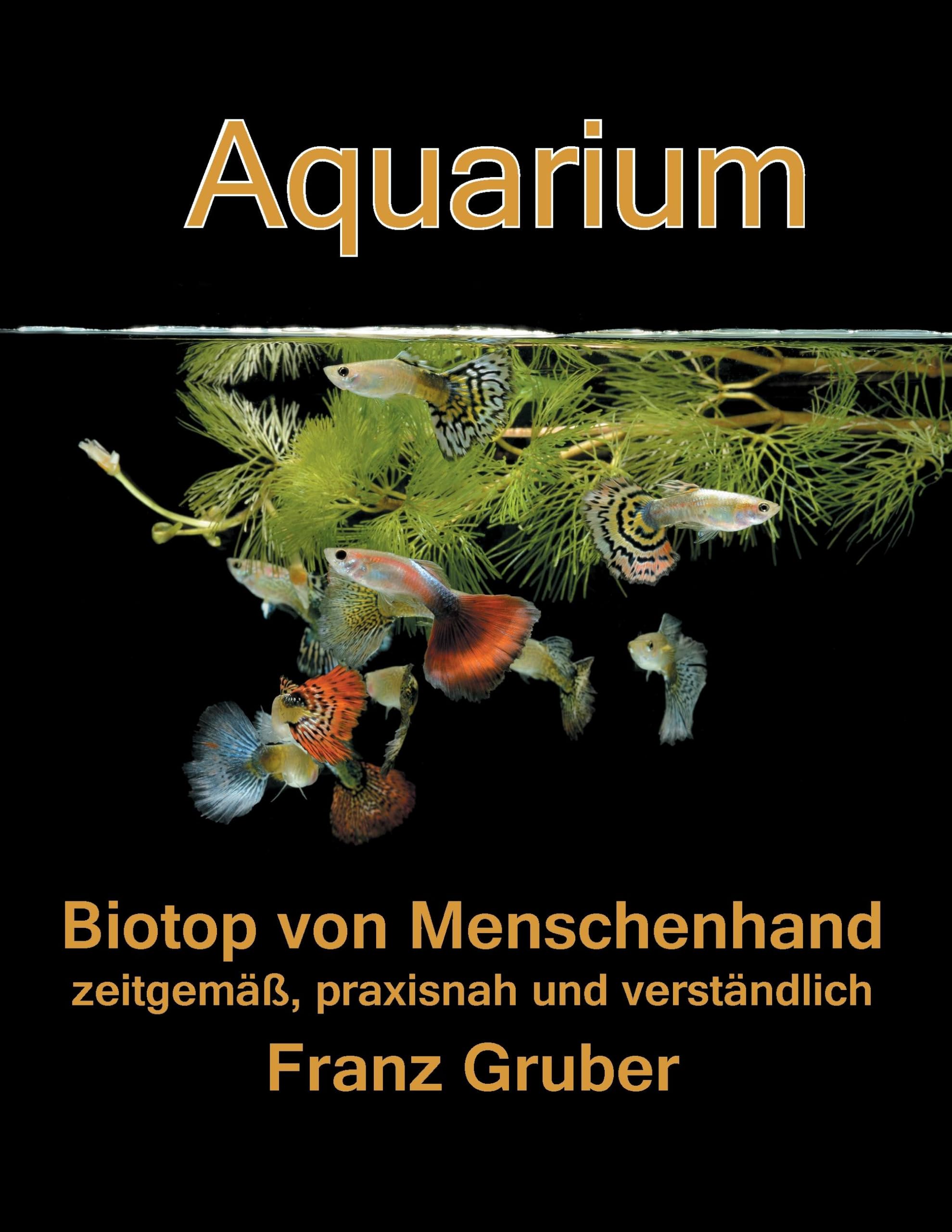 Aquarium-Biotop von Menschenhand Mathematics