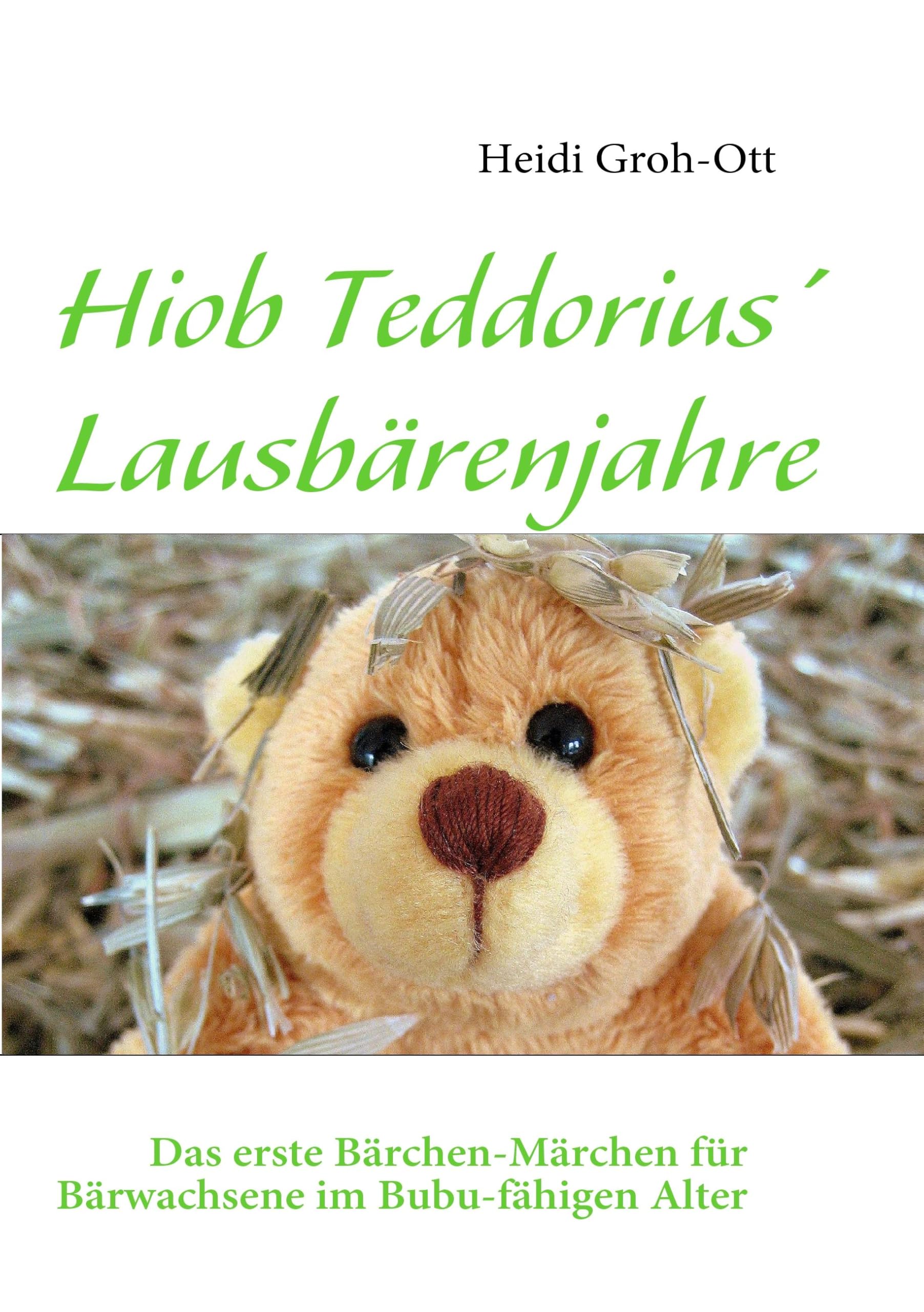 Hiob Teddorius' Lausbärenjahre Humour & Satire