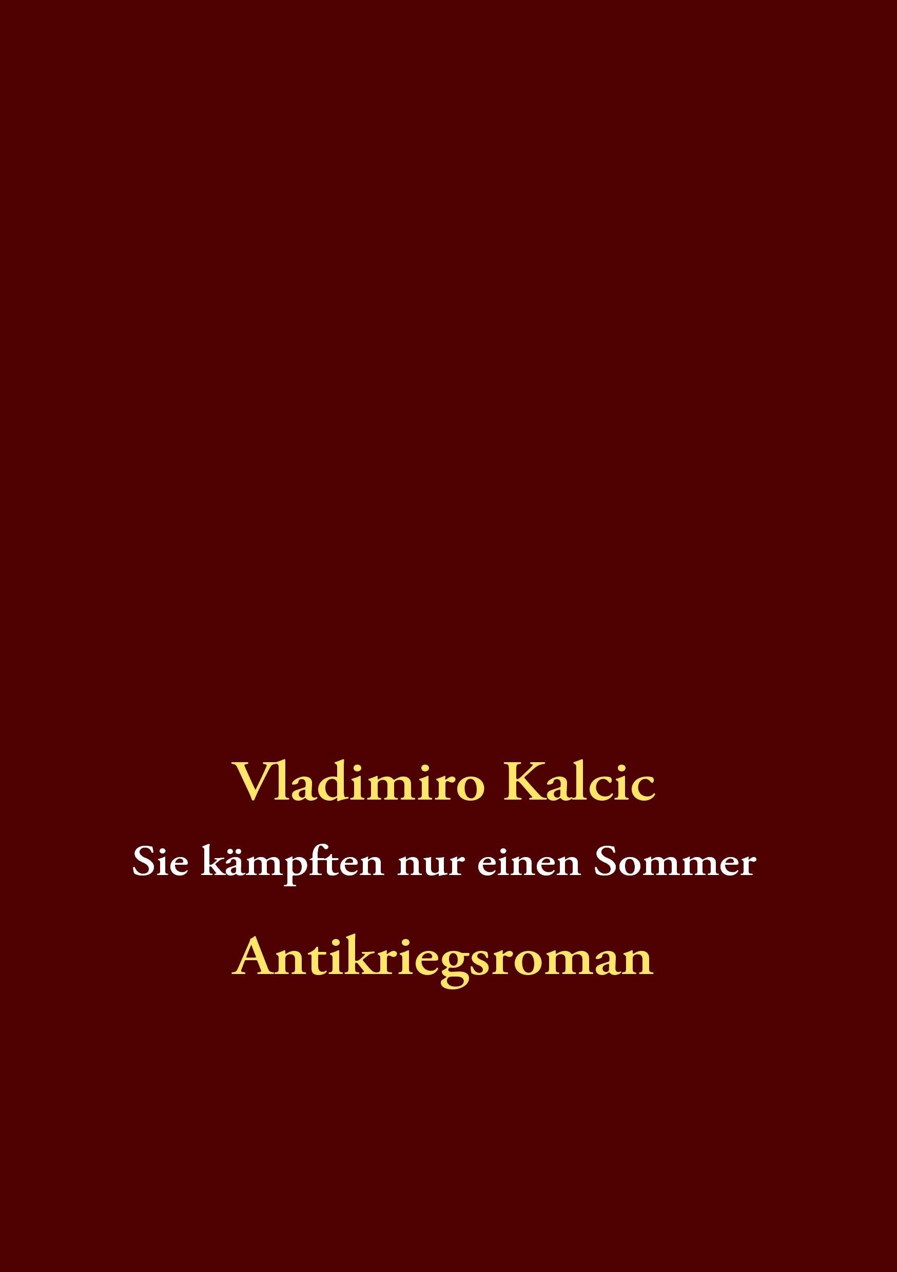 Sie kämpften nur einen Sommer Contemporary literature