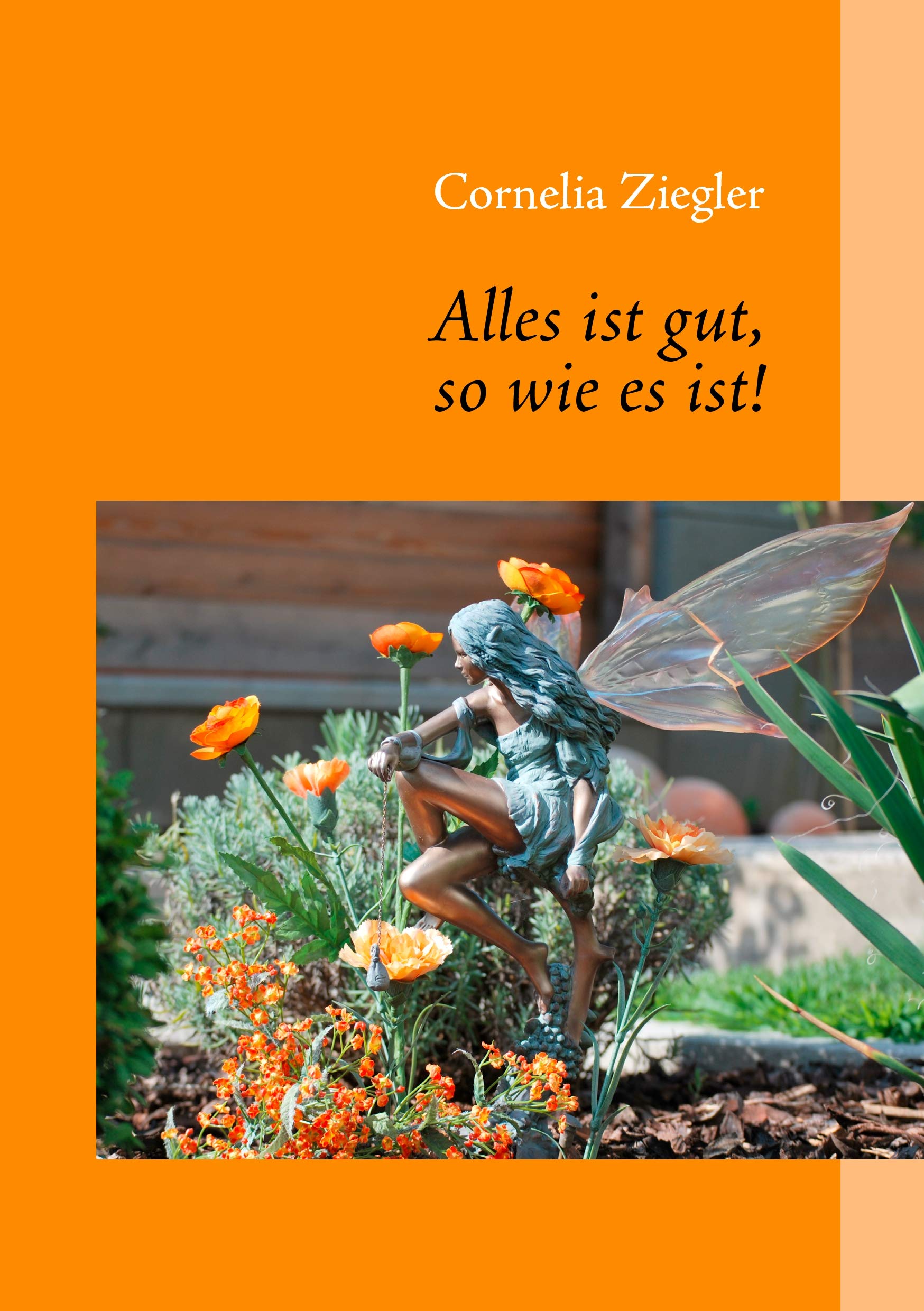 Alles ist gut, so wie es ist! book