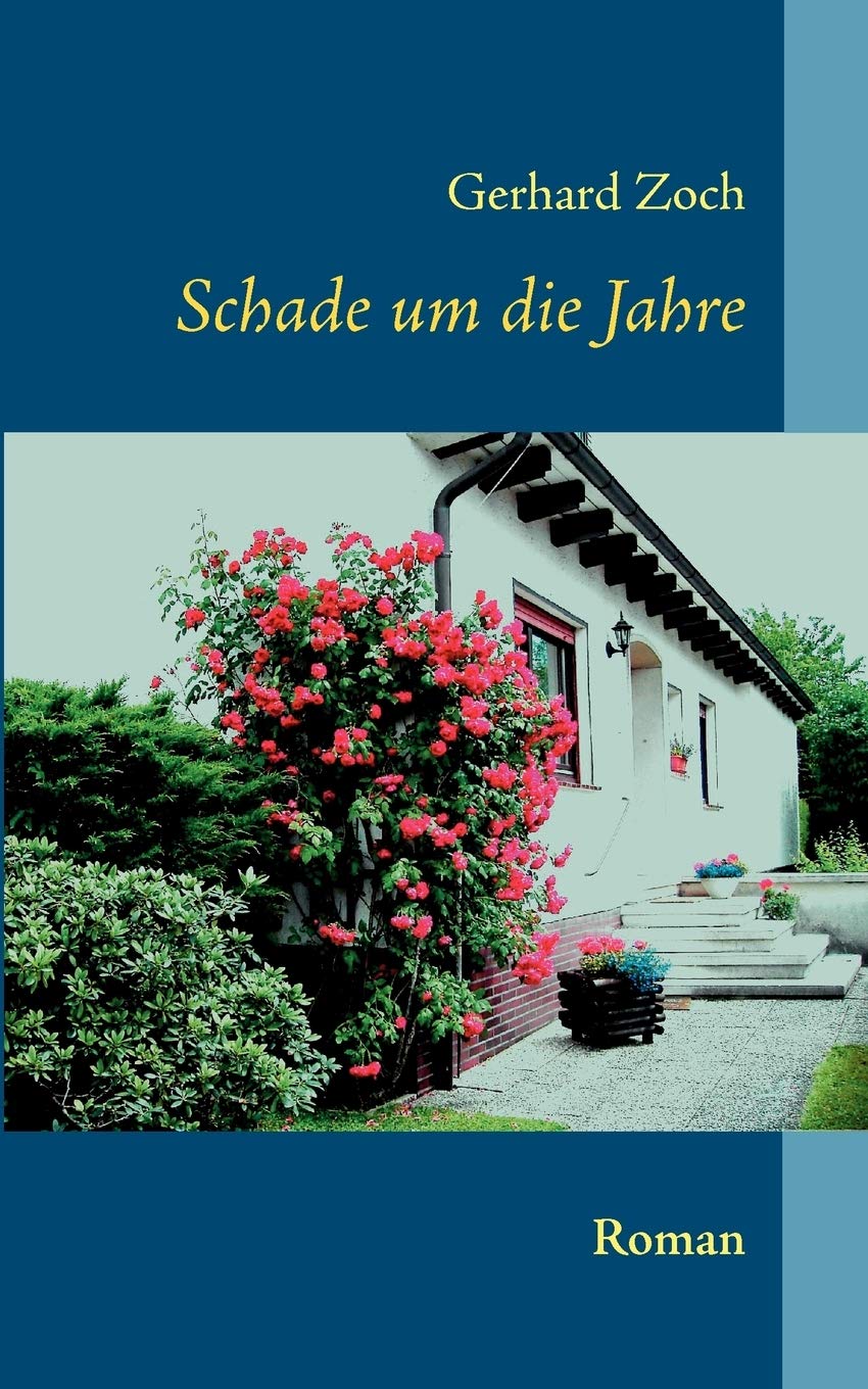 Schade um die Jahre: Roman Contemporary literature