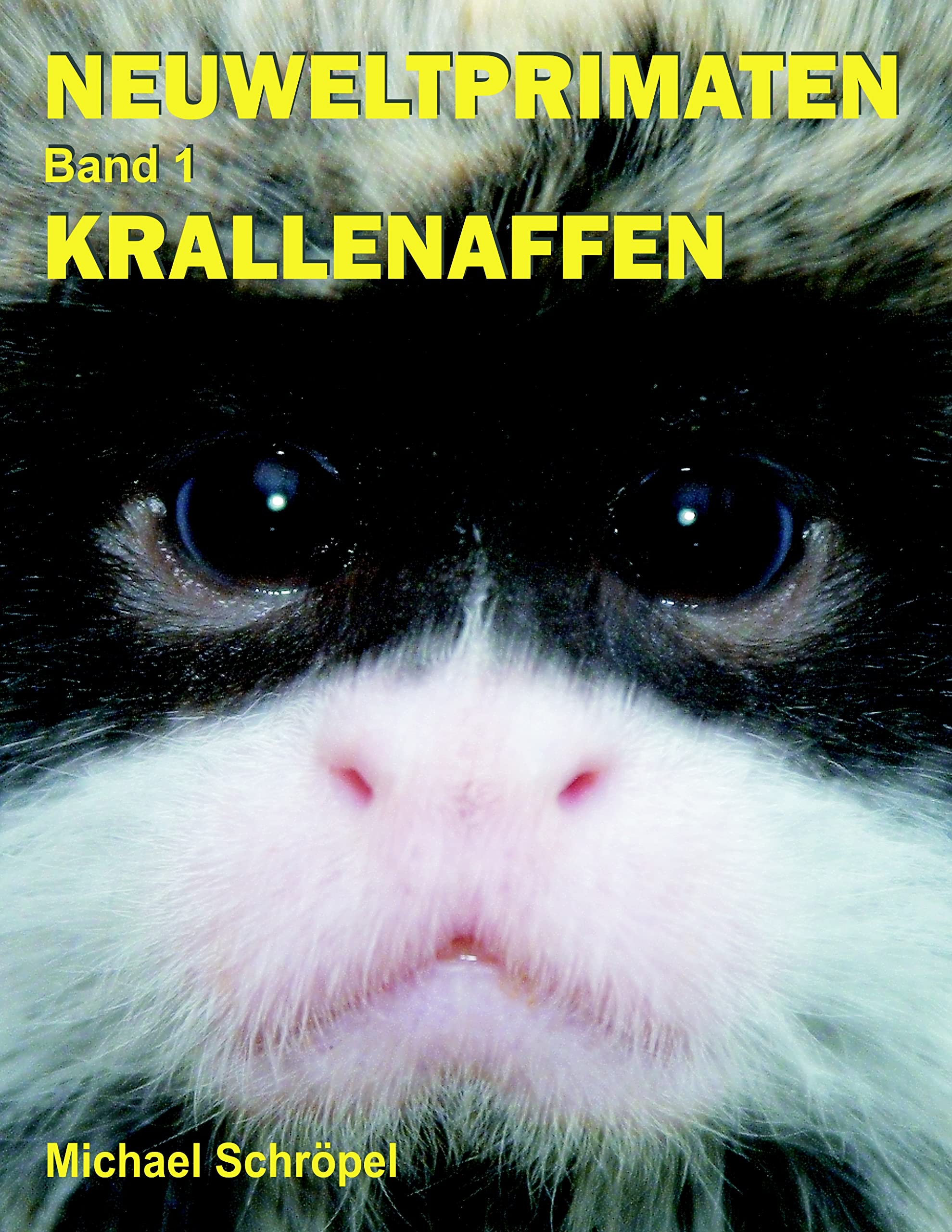 Neuweltprimaten Band 1 Krallenaffen Leisure, Home & Garden