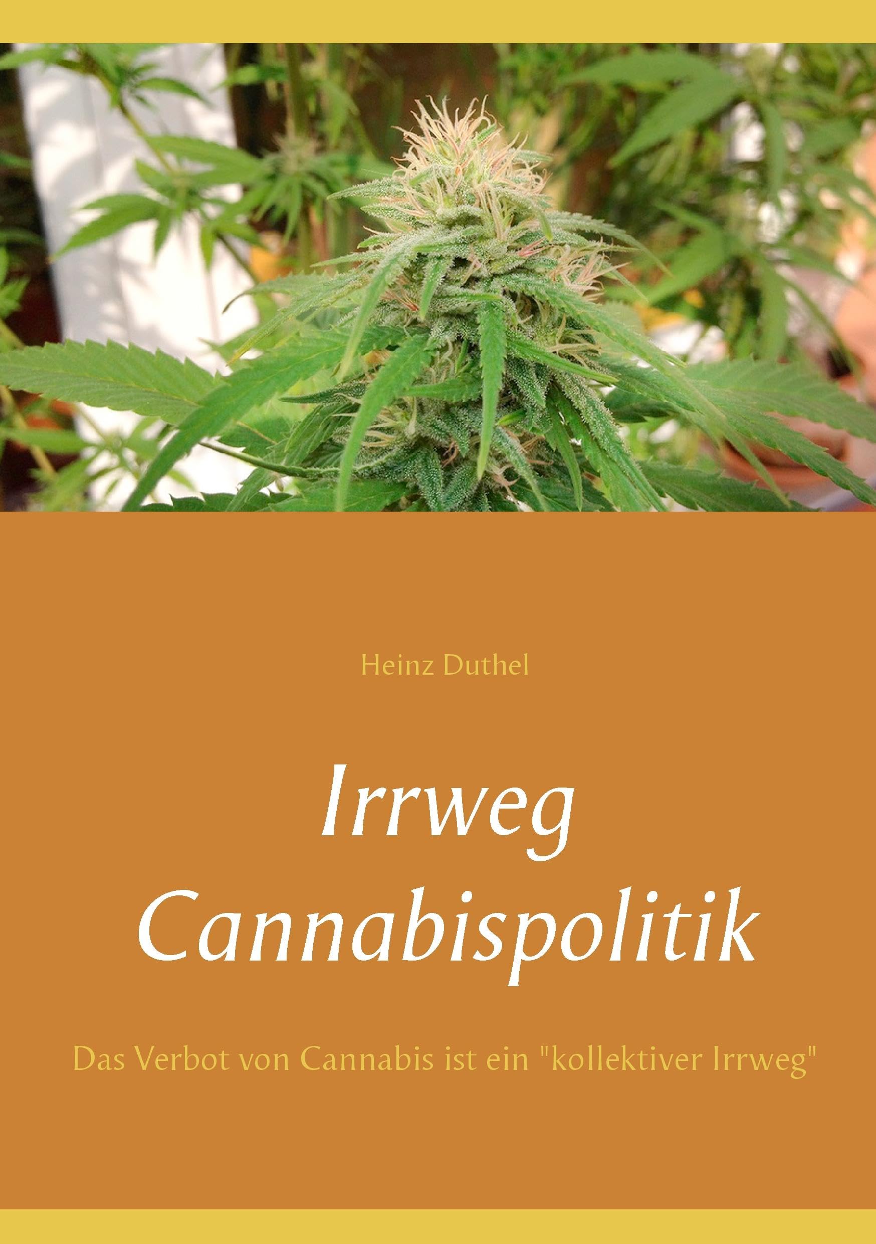 Irrweg Cannabispolitik Medicine