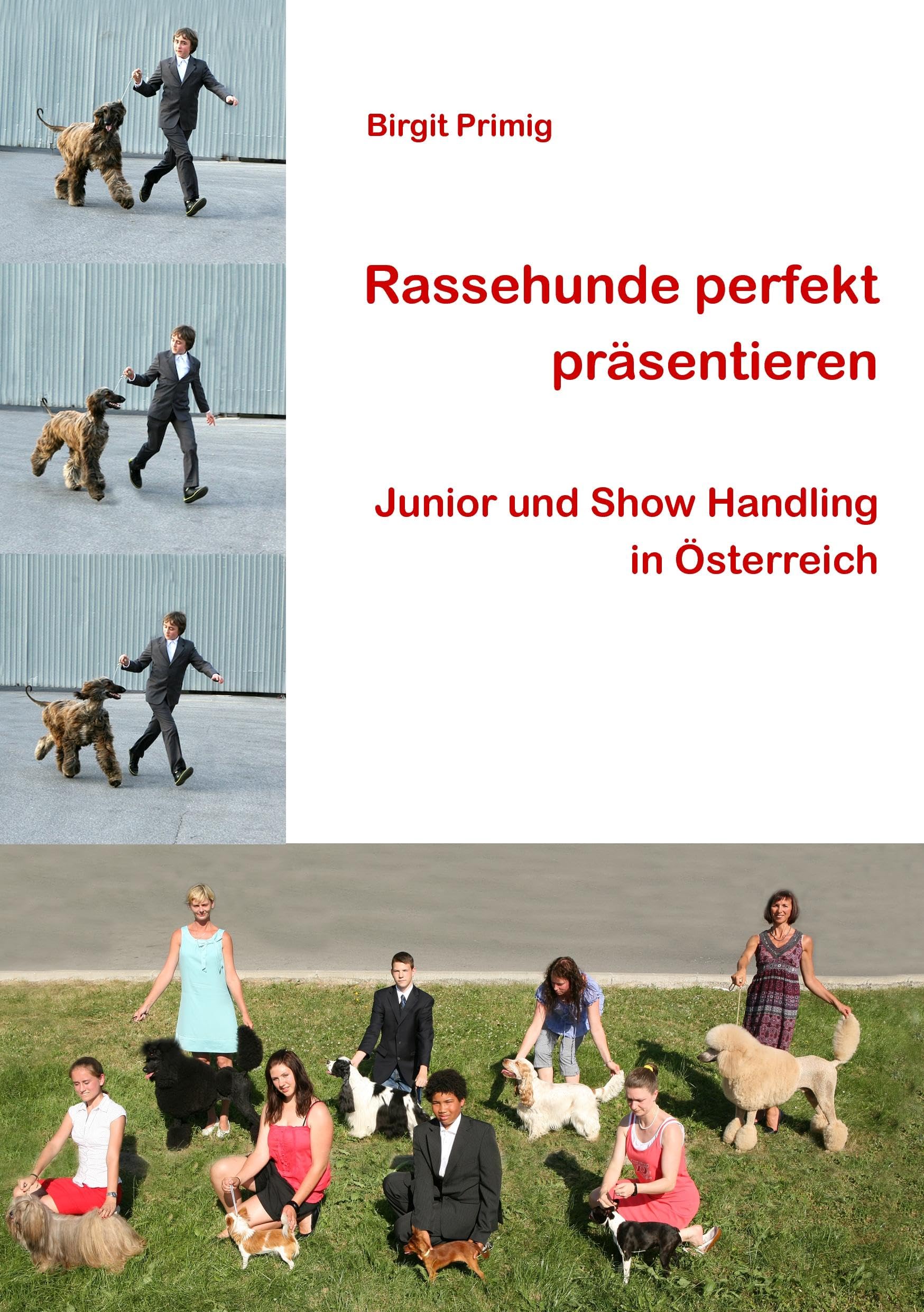 Rassehunde perfekt präsentieren: Junior und Show Handling in Österreich Pets